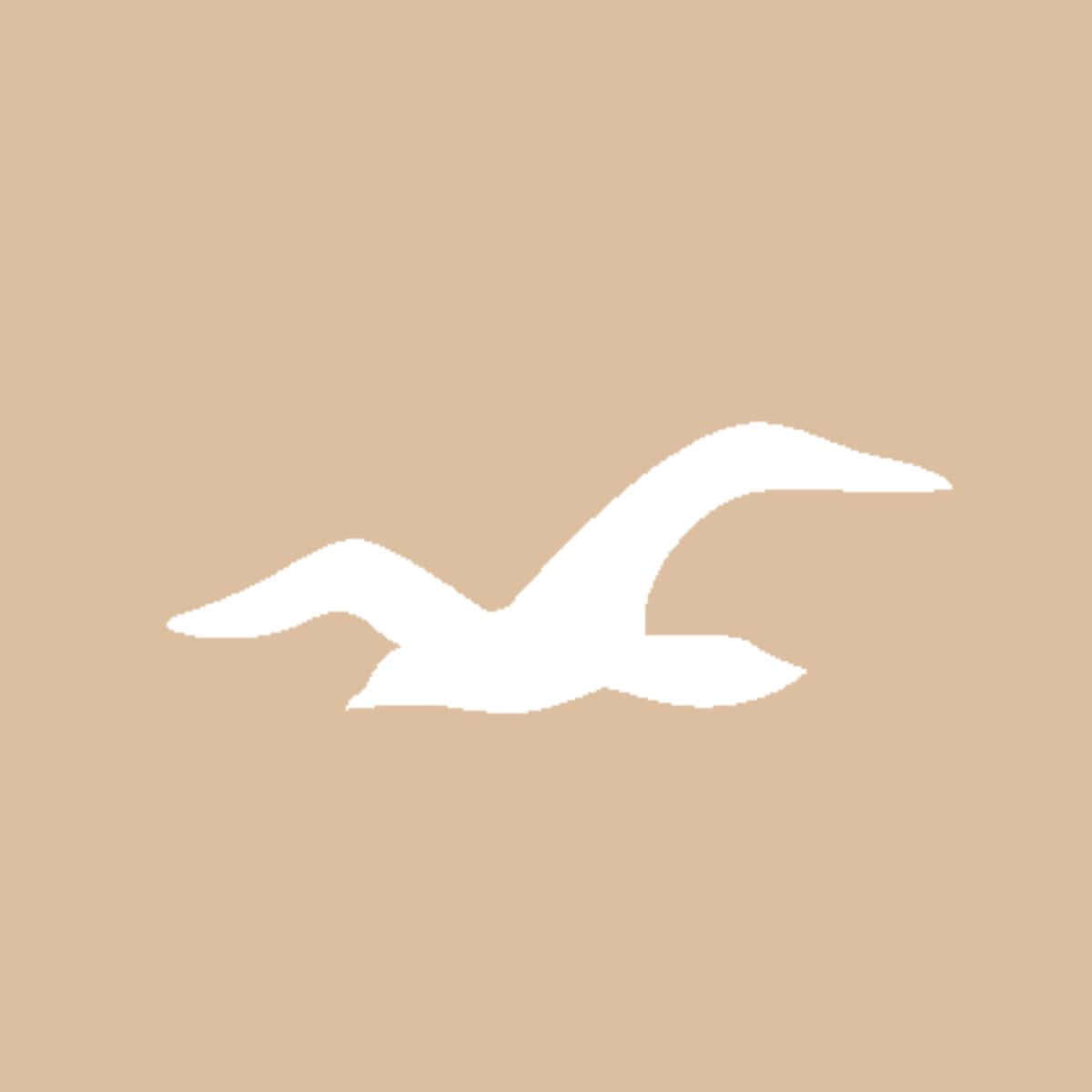 Hollister 桌布 壁紙 — 在純米色背景上飛翔的海鷗的極簡白色剪影。