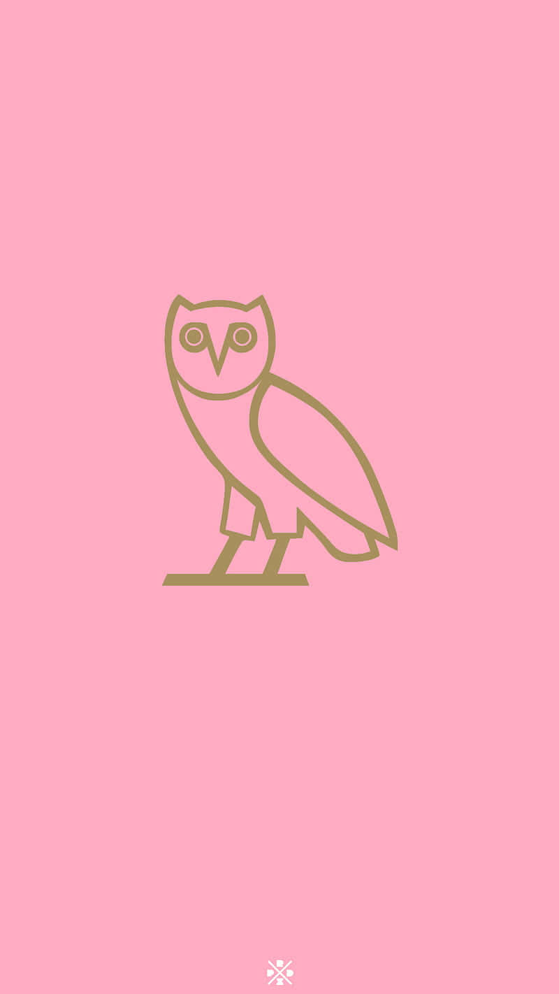 Drake Ovo Owl iPhone 桌布 壁紙 — 在純粉紅色背景上居中棲息的一隻貓頭鷹的極簡金色線條畫。