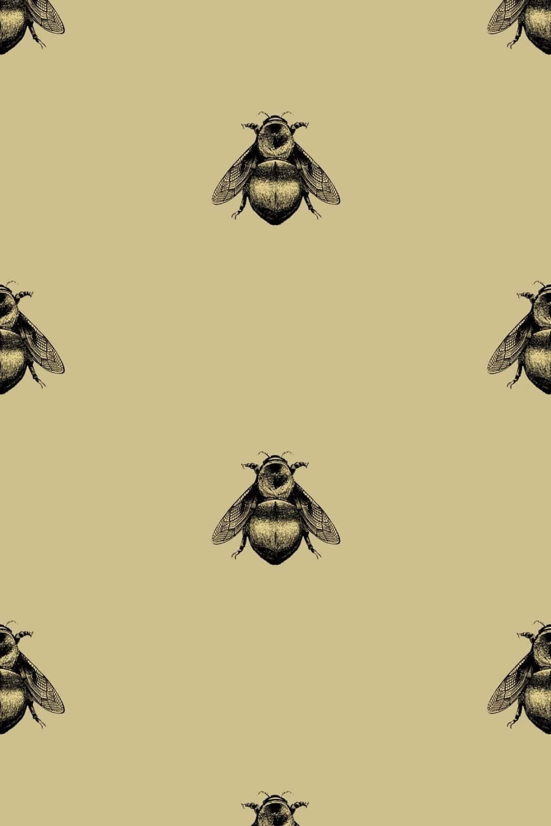 bees 桌布 壁紙 — 在純色米色背景上重複排列的詳細黑白蜜蜂插圖圖案。