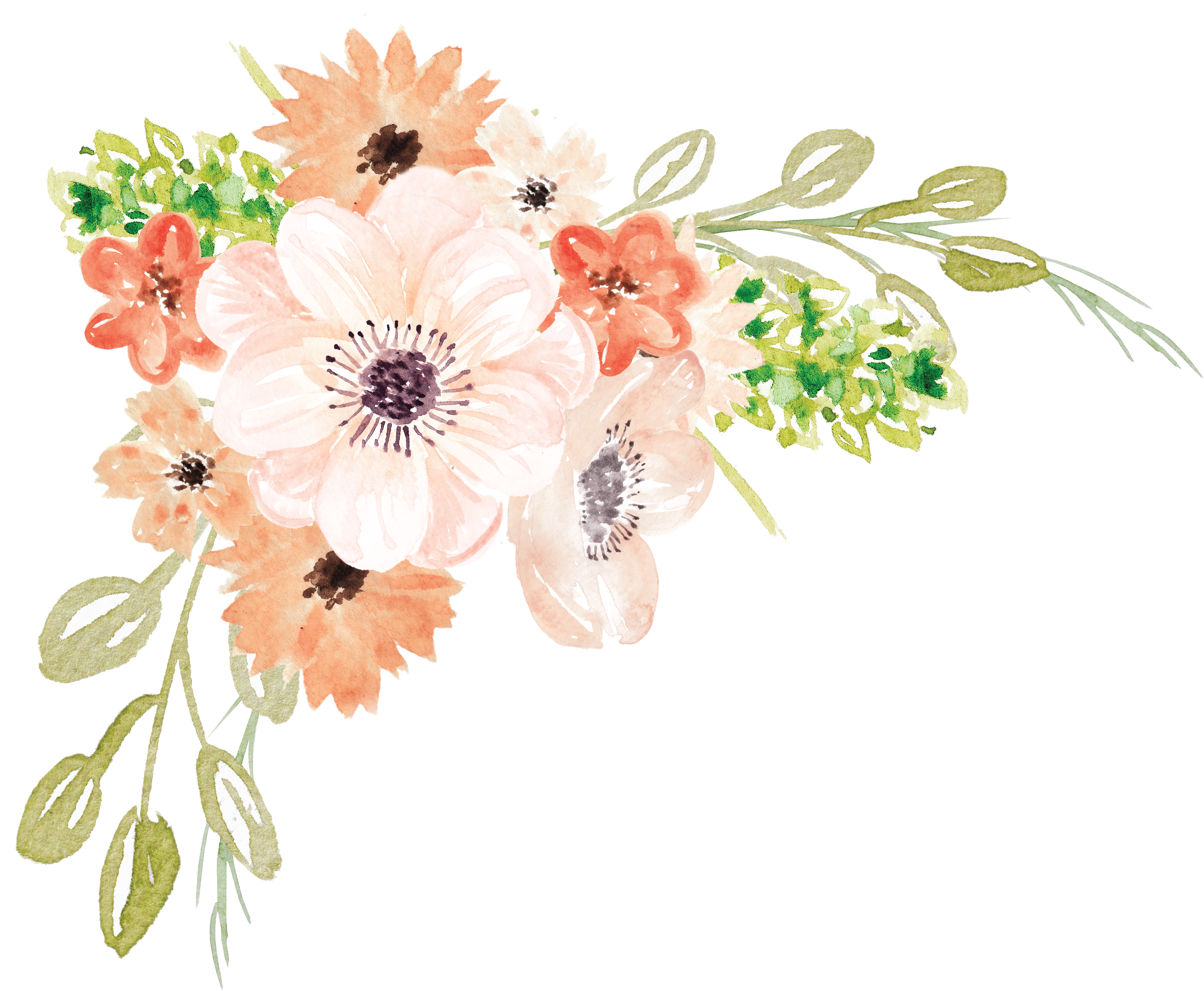 Watercolor 桌布 壁紙 — 在純黑背景上，一束精緻的水彩蜜桃色與白色花朵，搭配綠色葉片。
