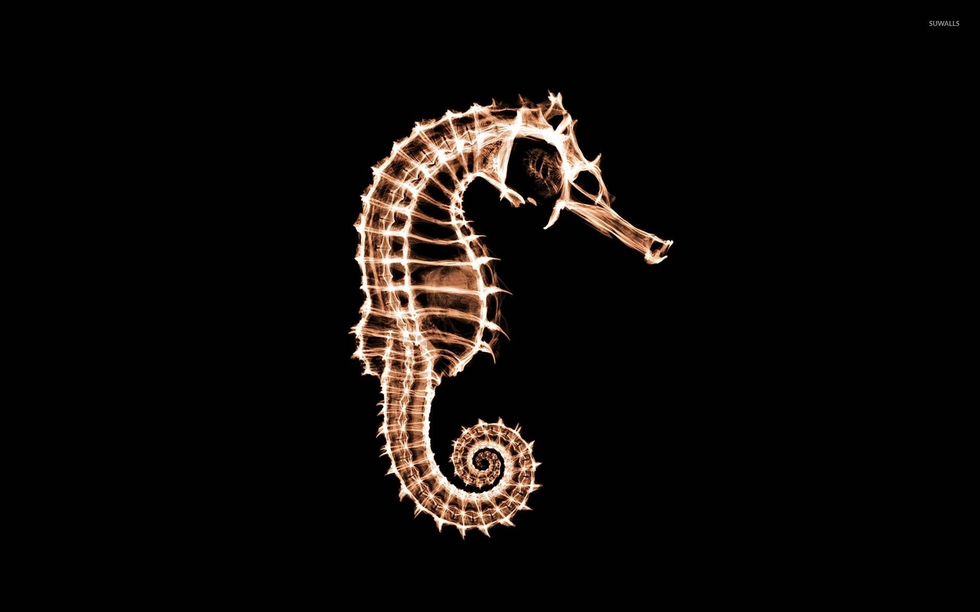 Seahorse 桌布 壁紙 — 在純黑背景上，以火焰般光芒勾勒出的發光金色海馬。