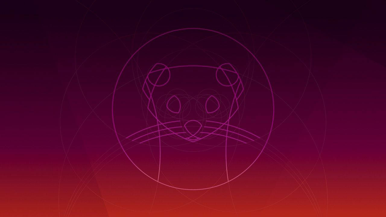 ubuntu 桌布 壁紙 — 在紫色到橙色的漸變背景上，同心圓內貓臉的極簡發光輪廓。