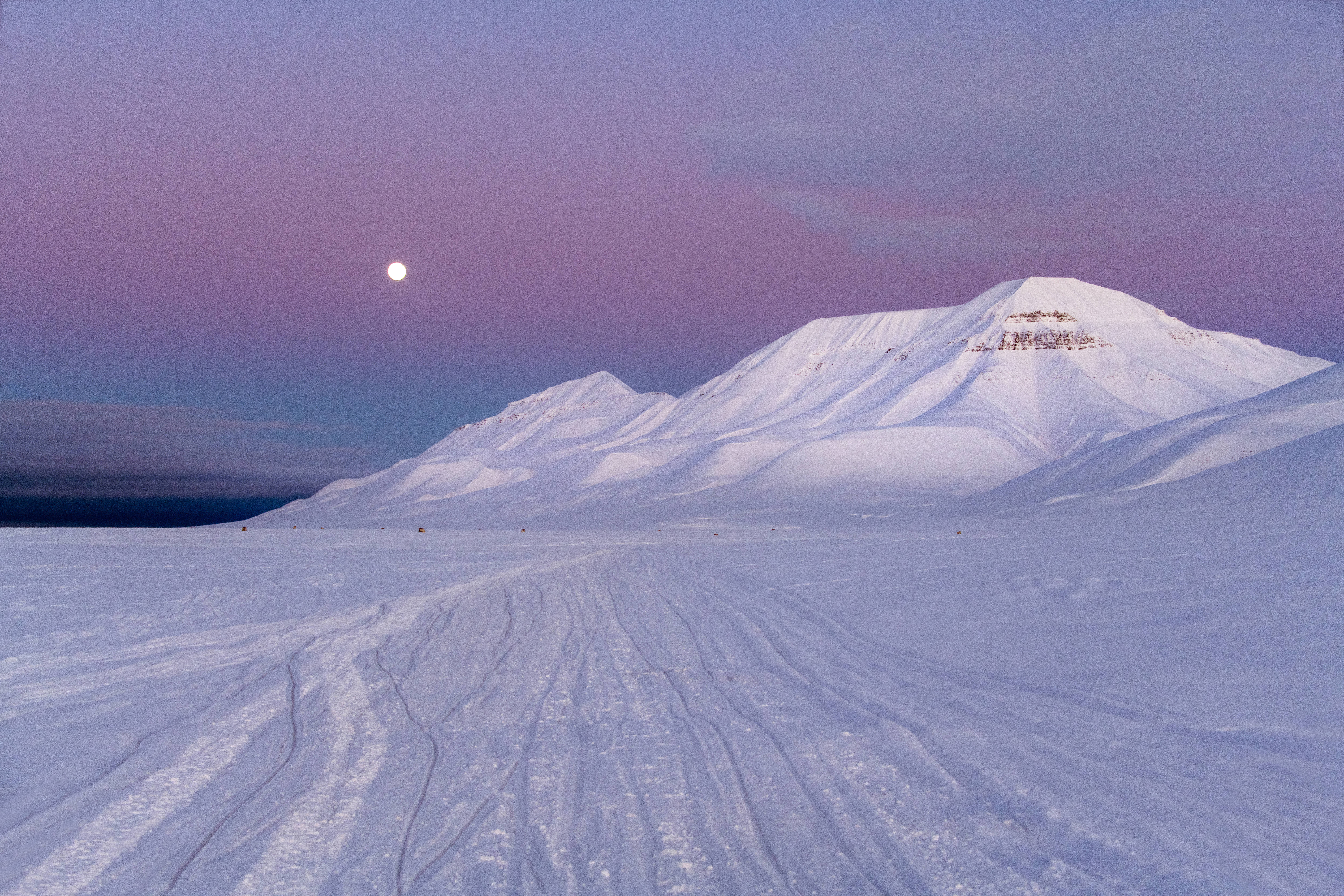 Svalbard 桌布 壁紙 — 在紫色暮色天空下，明亮的月亮和輪胎痕跡通往山峰的雪山山脈。