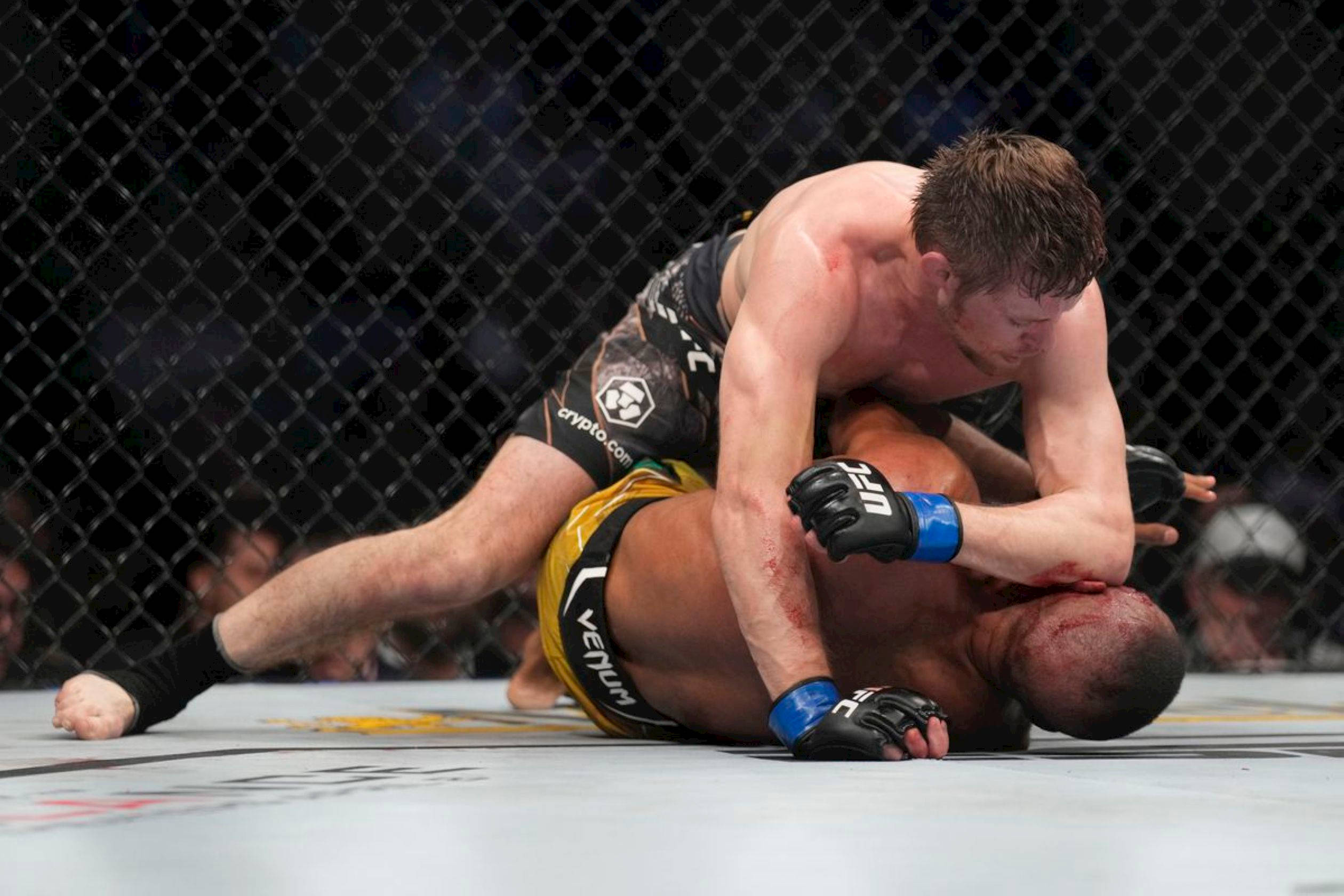 MMA 桌布 壁紙 — 在綜合格鬥比賽中，兩名拳手在八角籠內的墊子上激烈纏鬥。