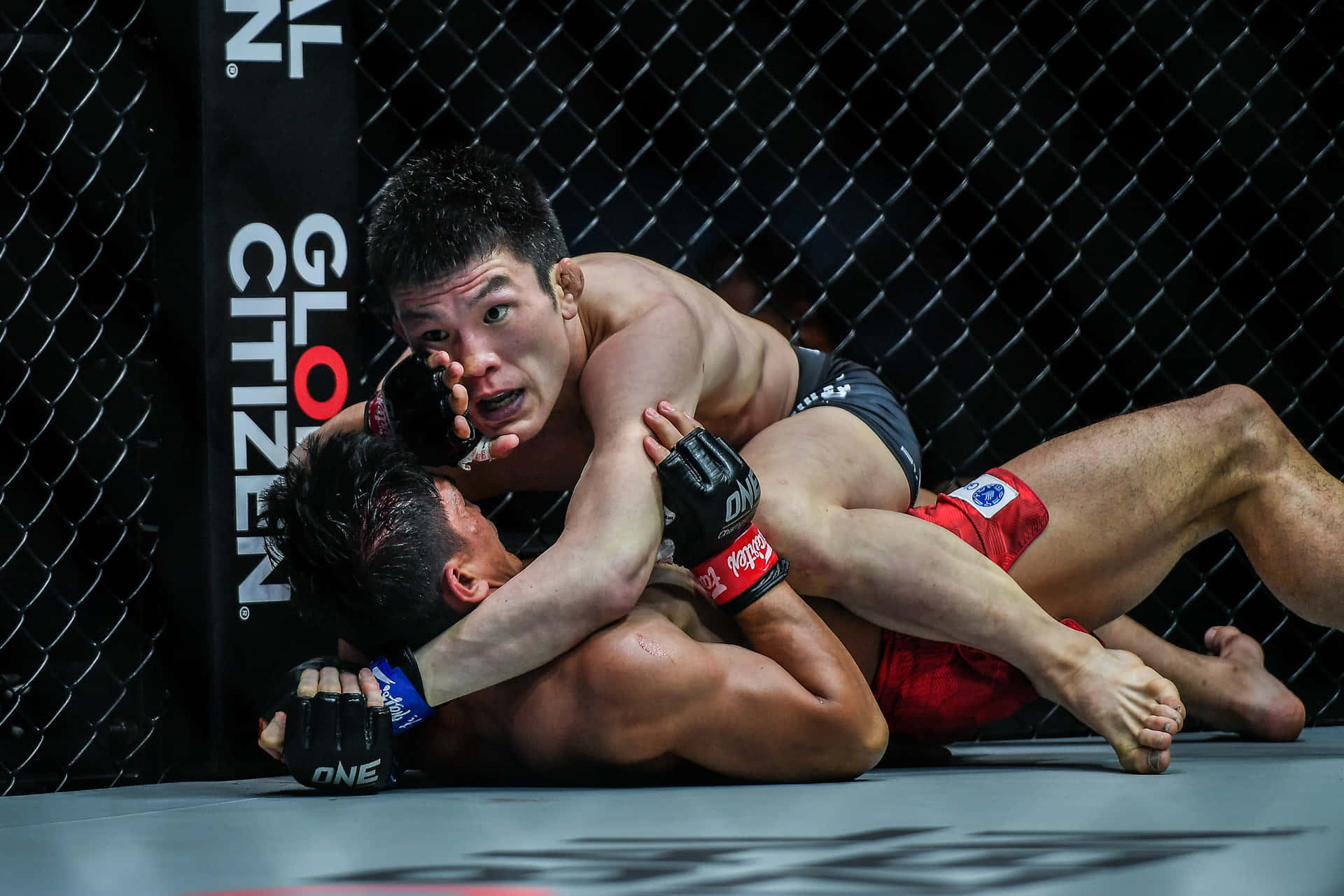 martial arts 桌布 壁紙 — 在綜合格鬥比賽中，兩名拳手在黑色鐵絲網籠內的墊子上激烈纏鬥。