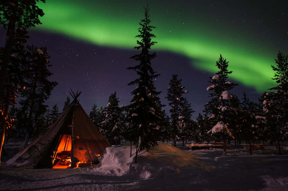 aurora borealis 桌布 壁紙 — 在繁星點點的夜空下，一座發光的帳篷坐落在雪林之中，上方是鮮豔的綠色極光劃過天際。