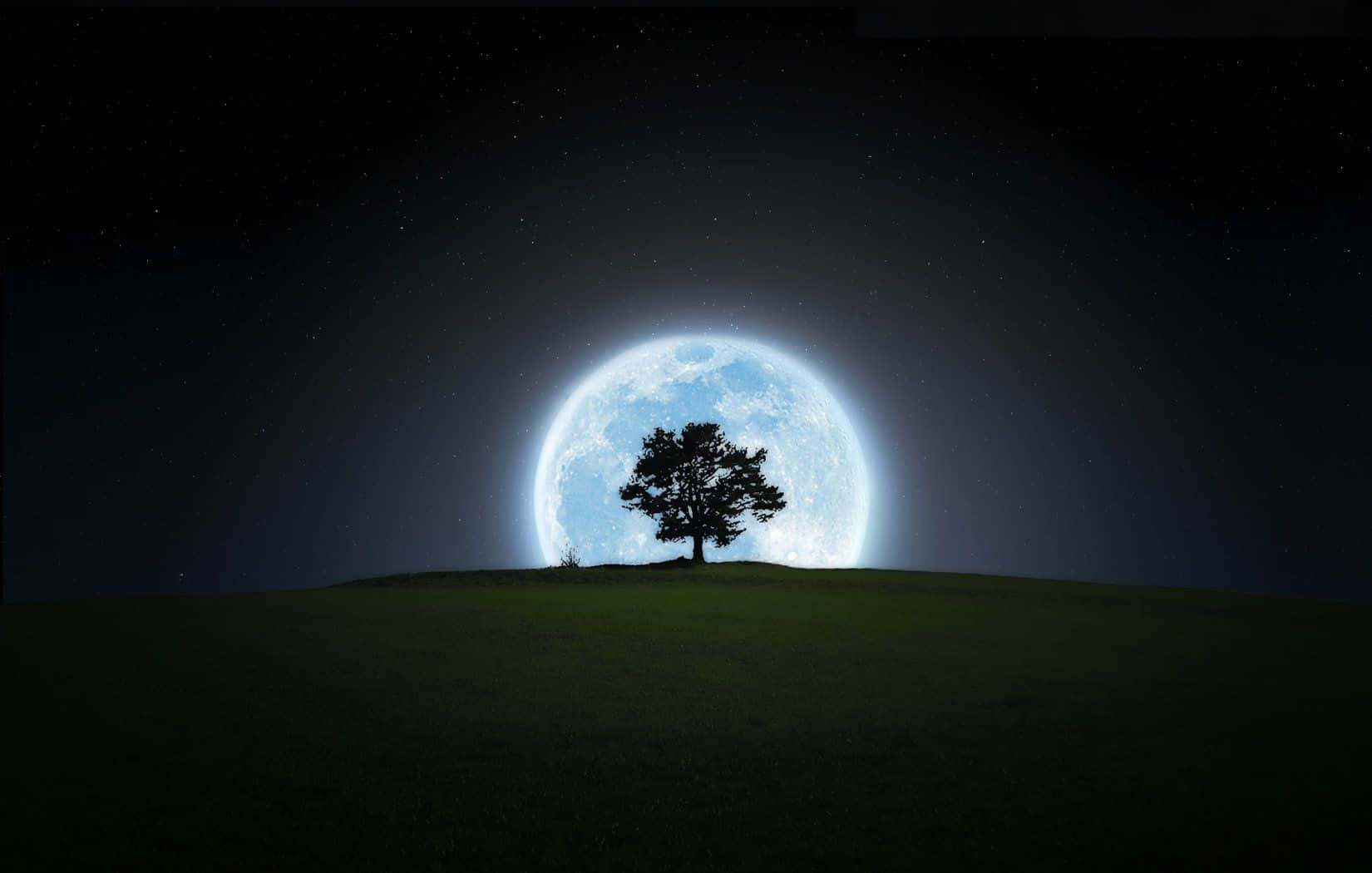 Pretty Moon 桌布 壁紙 — 在繁星點點的夜空下，一棵孤樹在長滿草的山丘上形成剪影，襯托著巨大發光的藍色月亮。
