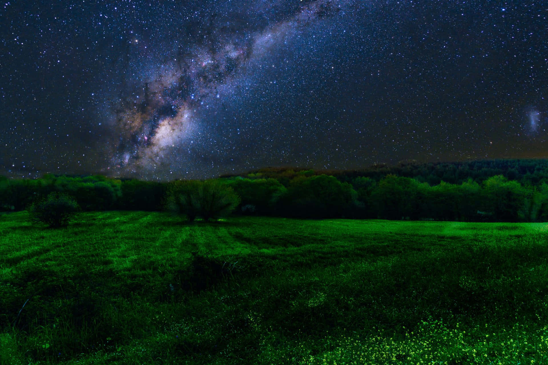 桌布 壁紙 — 在繁星點點的夜空下，一片發光的綠色田野，銀河在森林地平線上方拱起。