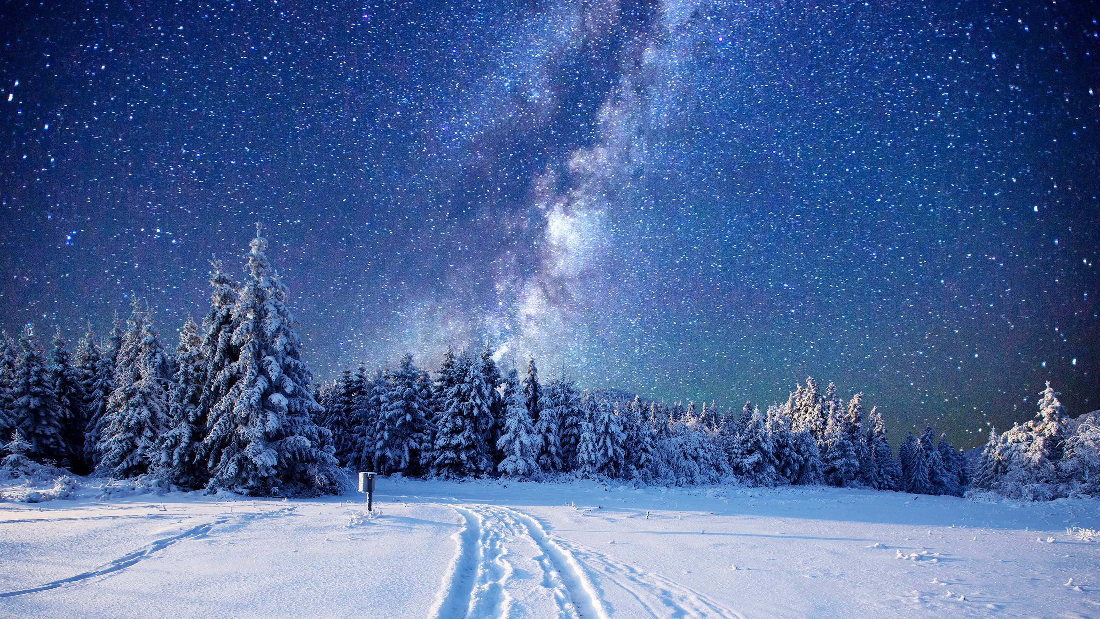 Beautiful Winter 桌布 壁紙 — 在繁星點點的夜空下，一片積雪的森林，銀河拱掛在天際，足跡伸向遠方。