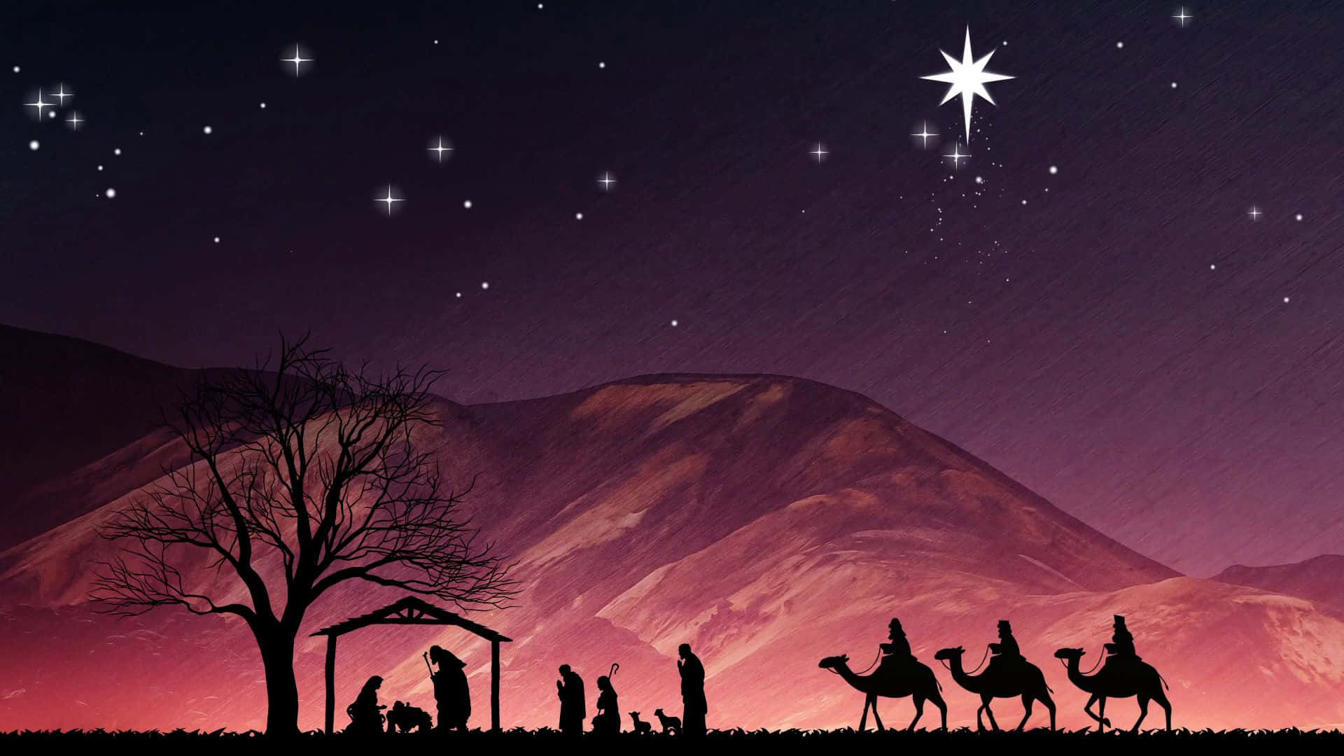 Nativity 桌布 壁紙 — 在繁星點點的夜空下，一顆明亮的星星引導三位智者騎著駱駝前往馬槽的剪影耶穌誕生場景。