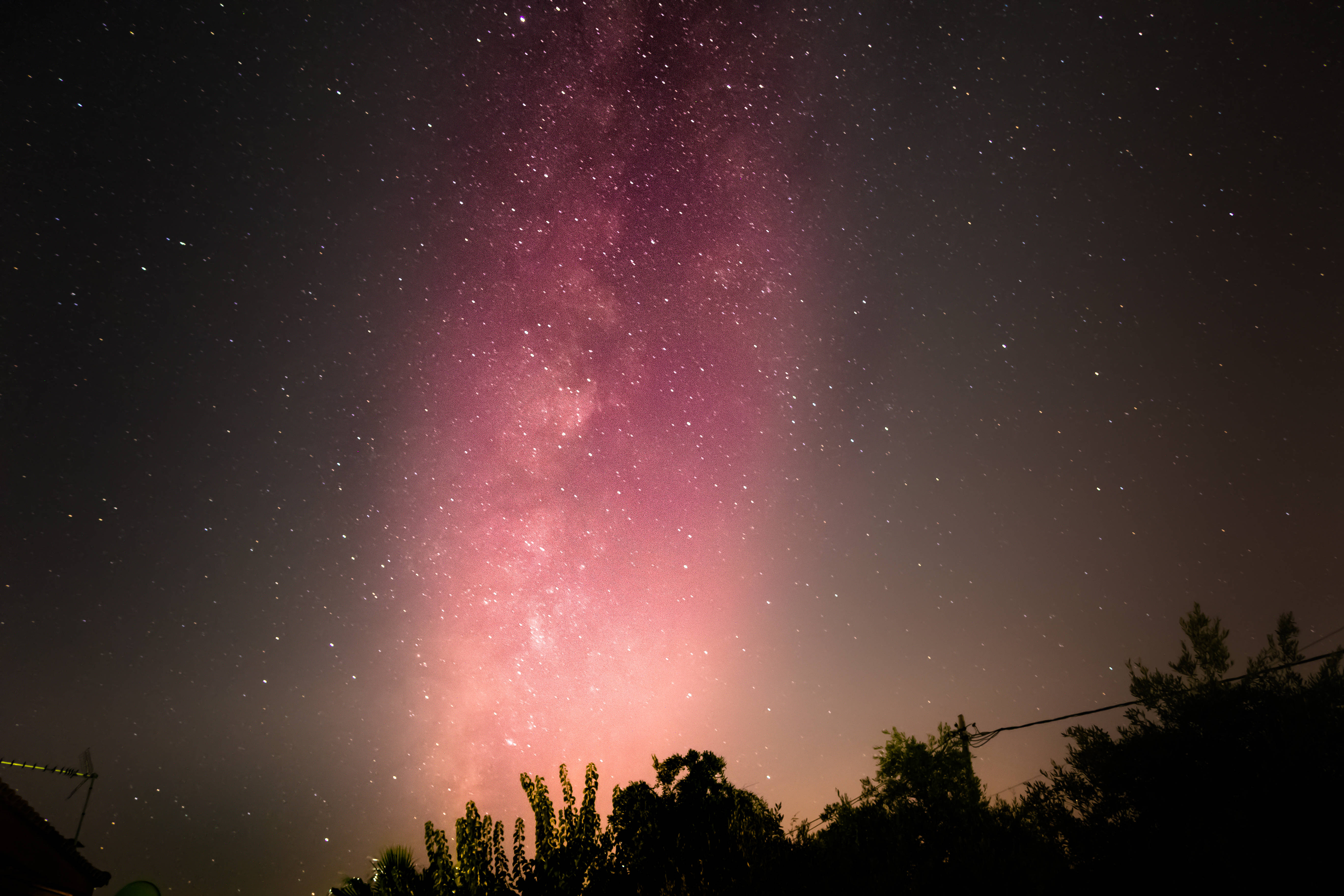 粉紅銀河 桌布 壁紙 — 在繁星點點的夜空下，剪影樹木上方閃耀著粉紅色和紫色的銀河，令人嘆為觀止。
