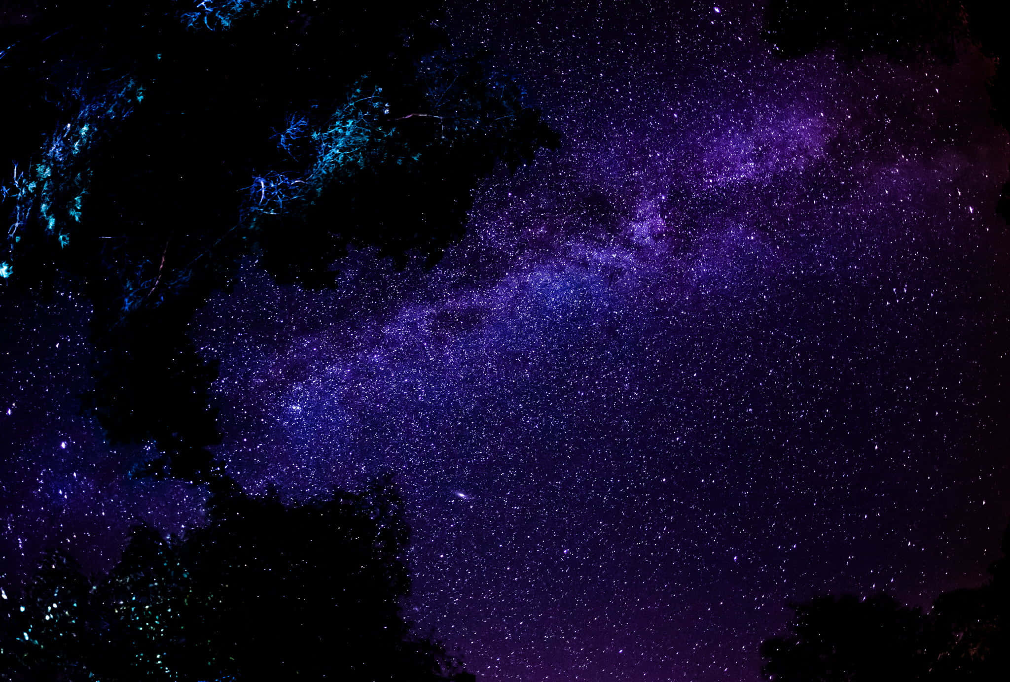 Black And Purple Galaxy 桌布 壁紙 — 在繁星點點的夜空下，深色樹木剪影上方有充滿活力的紫色和藍色星系漩渦。