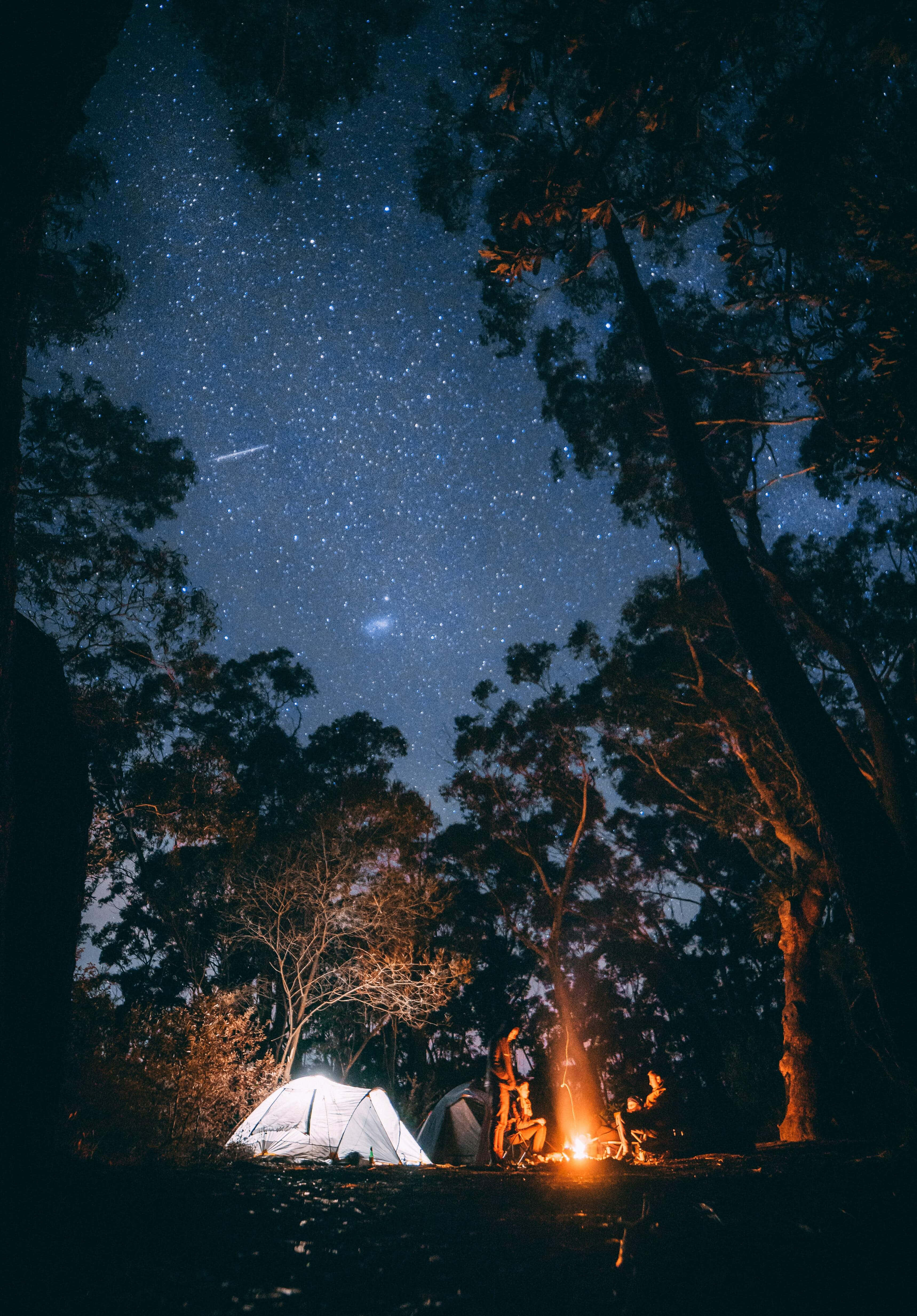 Camping 桌布 壁紙 — 在繁星點點的夜空下，營火在森林中高聳樹木間的帳篷附近閃耀。
