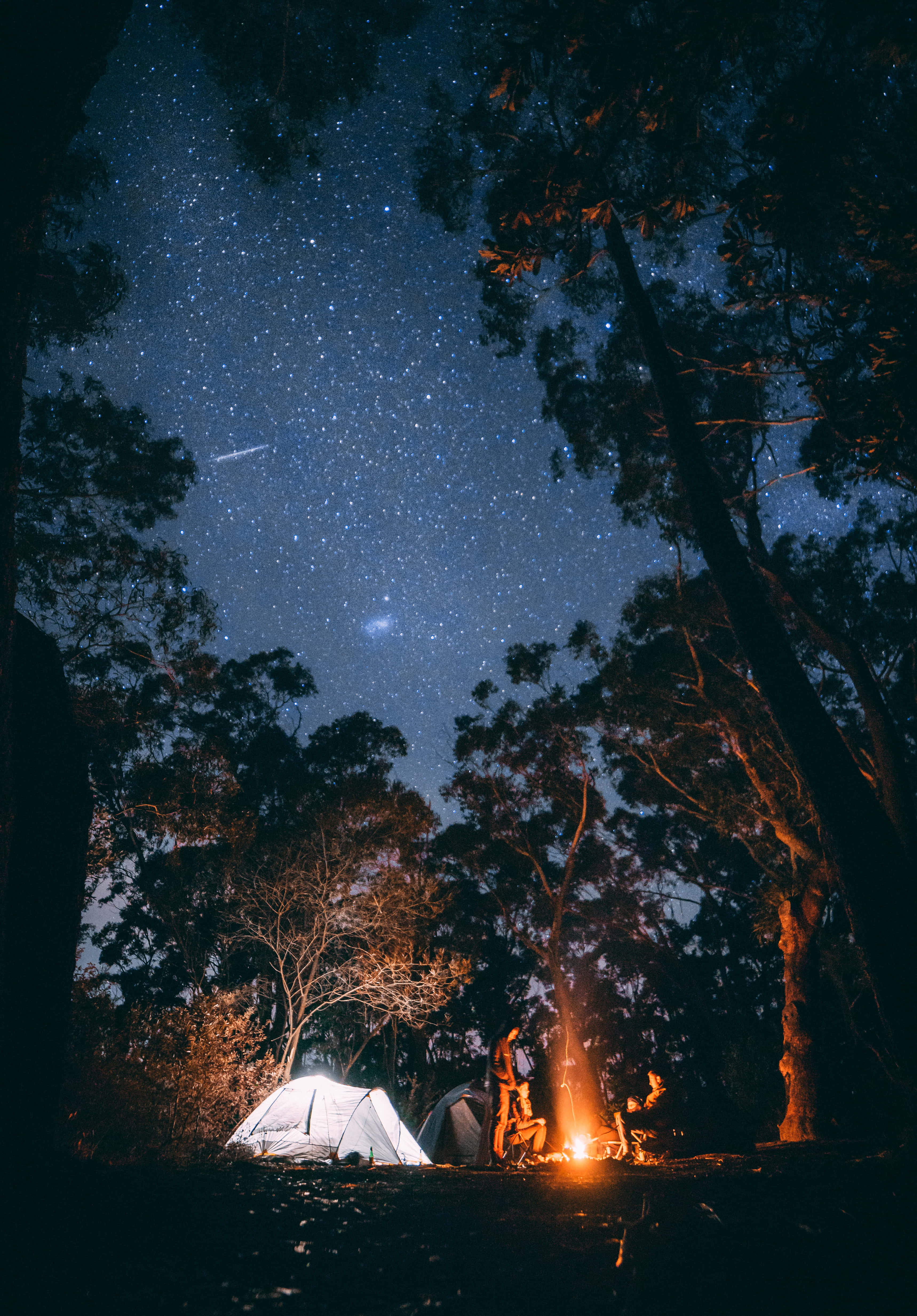 Camp 桌布 壁紙 — 在繁星點點的夜空下，營火在森林中高聳樹木間的帳篷附近閃耀。