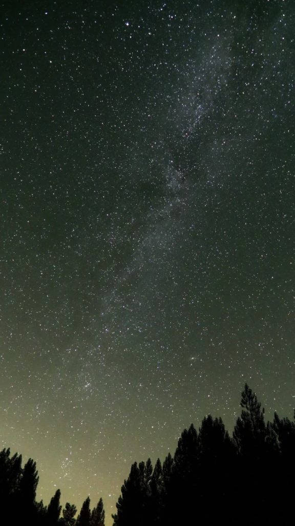 Sky HD 桌布 壁紙 — 在繁星點點的夜空下，銀河系在黑暗森林剪影上方閃耀的壯麗景色。