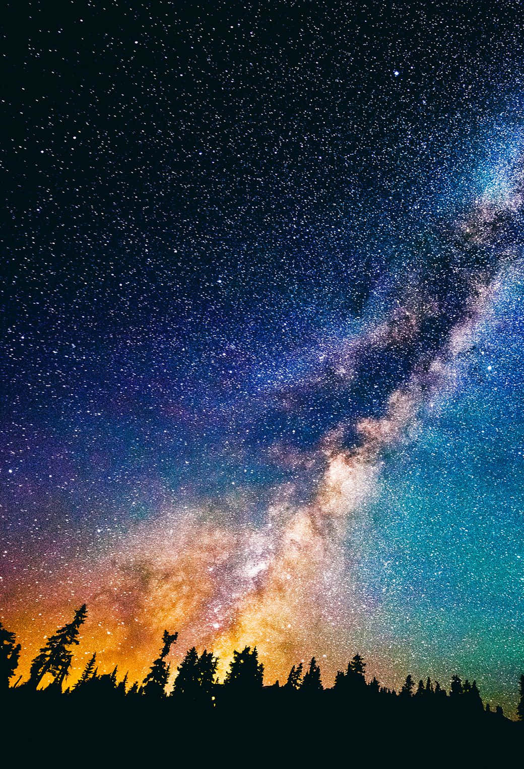 森林 桌布 壁紙 — 在繁星點點的夜空下，銀河系橫跨松樹剪影的壯麗景色。