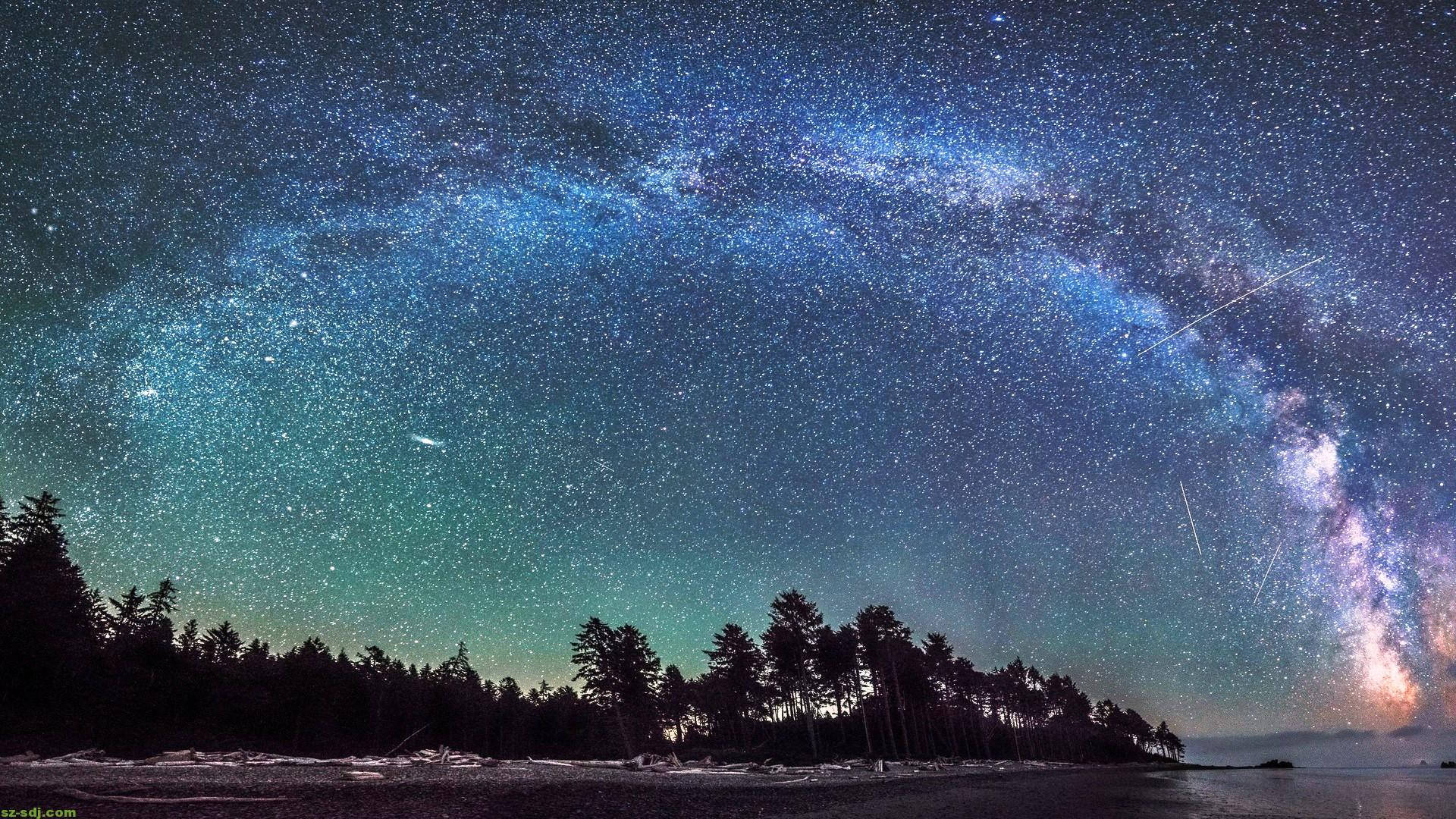 星星動圖 桌布 壁紙 — 在繁星點點的夜空下，銀河系橫跨黑暗森林覆蓋的海岸線的壯麗景色。