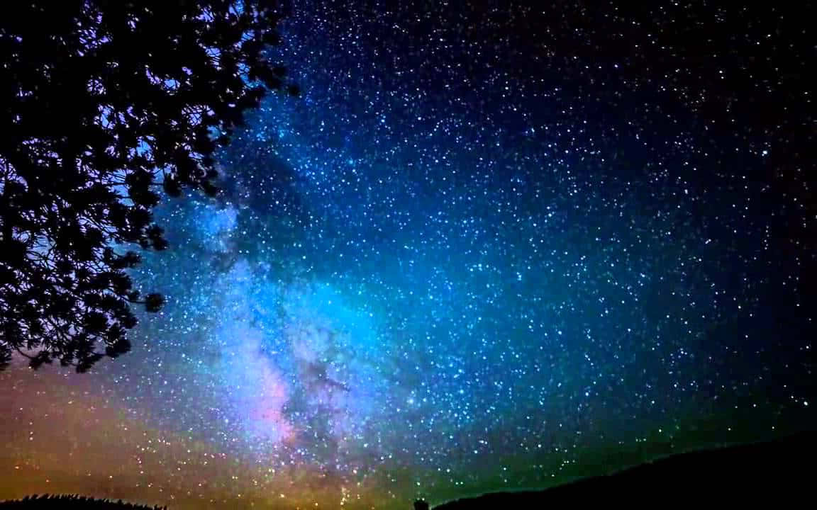 銀河 桌布 壁紙 — 在繁星點點的夜空下，黑暗森林剪影上方，銀河系閃耀著鮮豔的藍色和紫色，令人嘆為觀止。