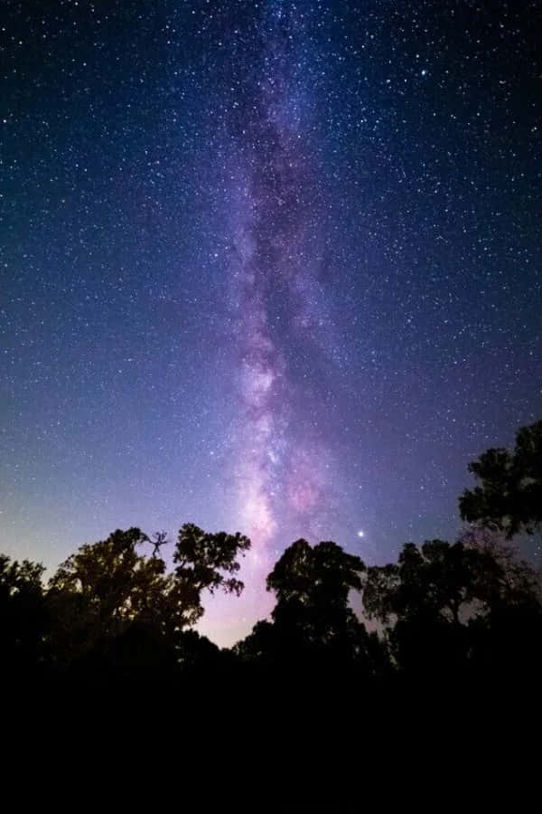 Black And Blue iPhone 桌布 壁紙 — 在繁星點點的夜空下，黑暗樹線上方閃耀著鮮豔紫色和藍色的銀河系的壯麗景色。