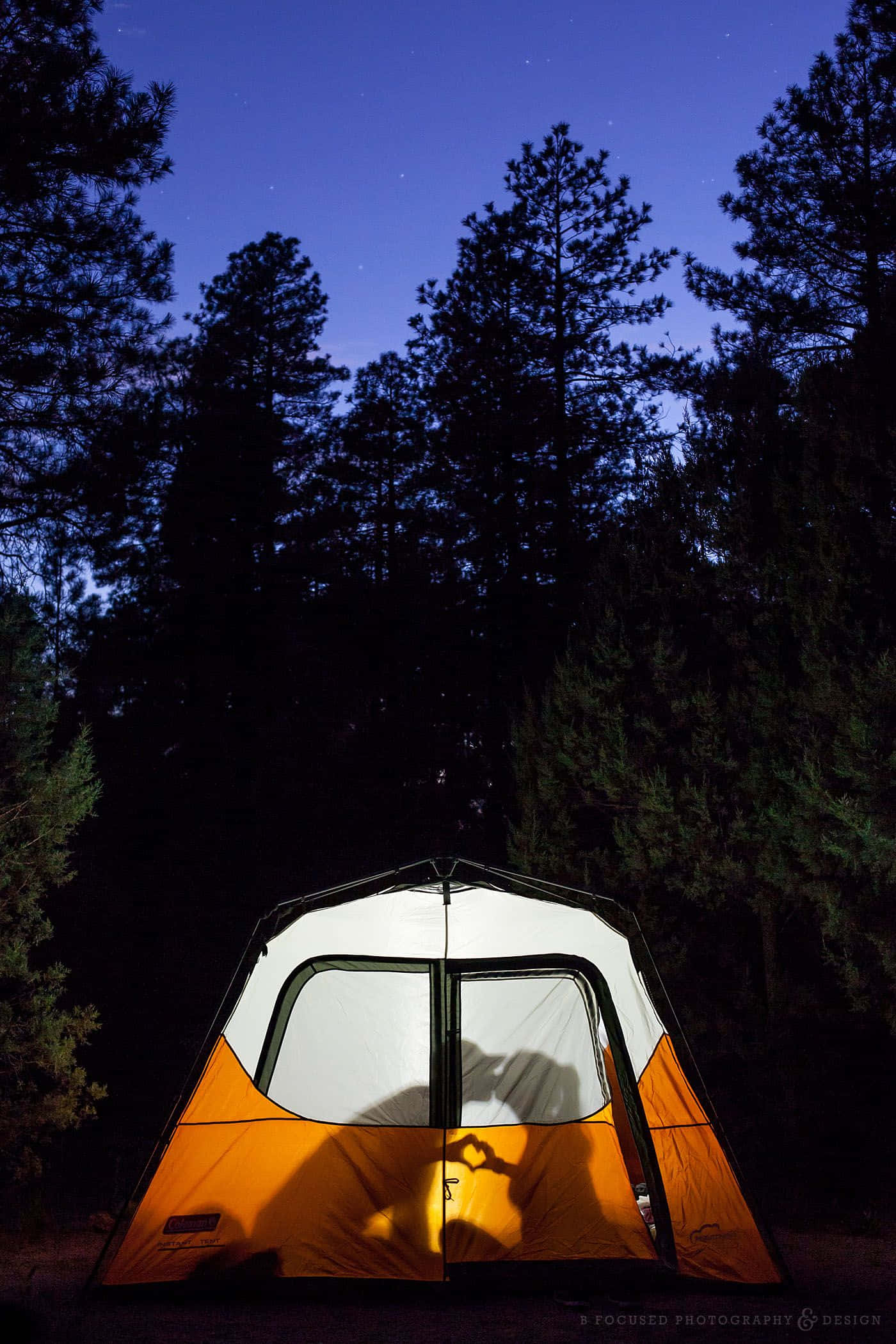 Minimalist Camping 桌布 壁紙 — 在繁星點點的暮色天空下，松樹林中閃耀著橙色和白色的帳篷。