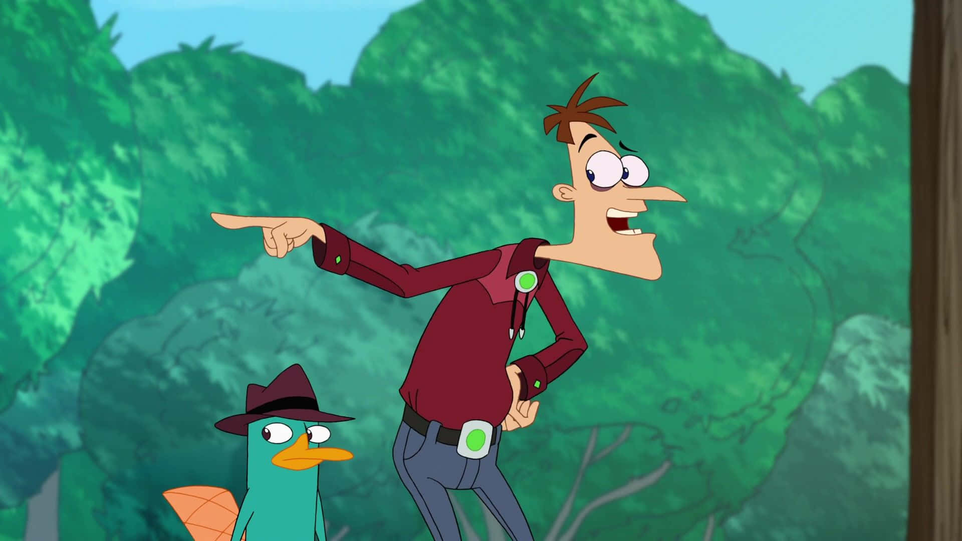 Phineas And Ferb 桌布 壁紙 — 在茂密的綠色森林中，一個穿著栗色襯衫的卡通男孩興奮地指著旁邊一隻戴著紳士帽的藍綠色鴨子。