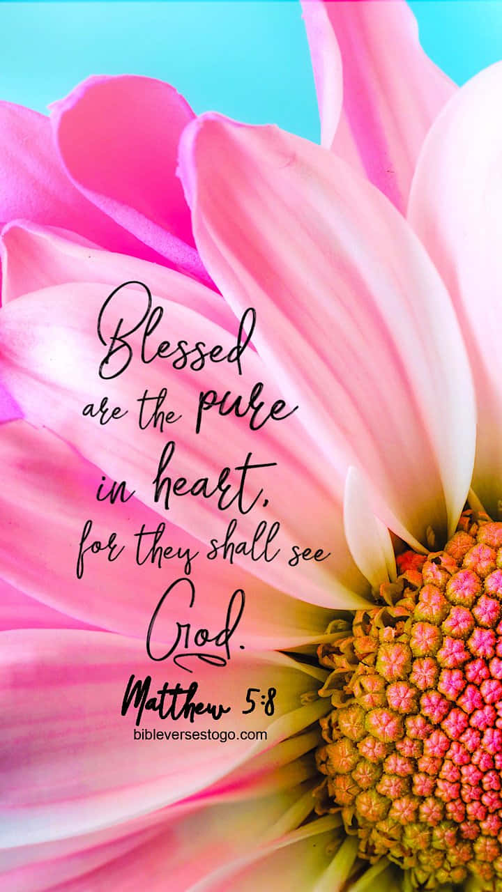 Girly Bible Verse 桌布 壁紙 — 在藍綠色背景上，一朵鮮豔的粉紅色花朵，上面以優雅草書疊加了一句經文。