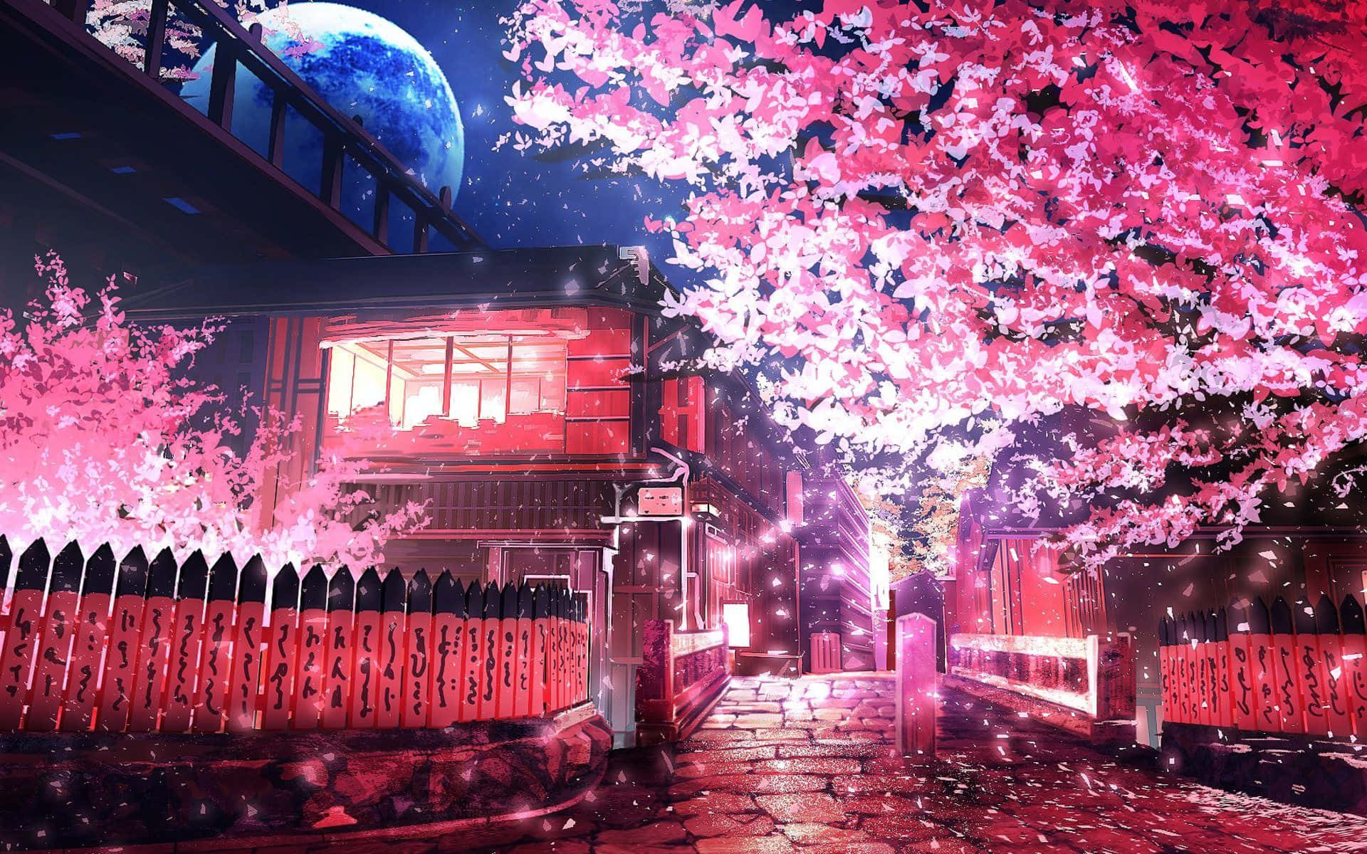 Spring Lights 桌布 壁紙 — 在藍色月亮的夜晚，一座發光的紅色燈籠屋坐落在粉紅櫻花樹冠下。