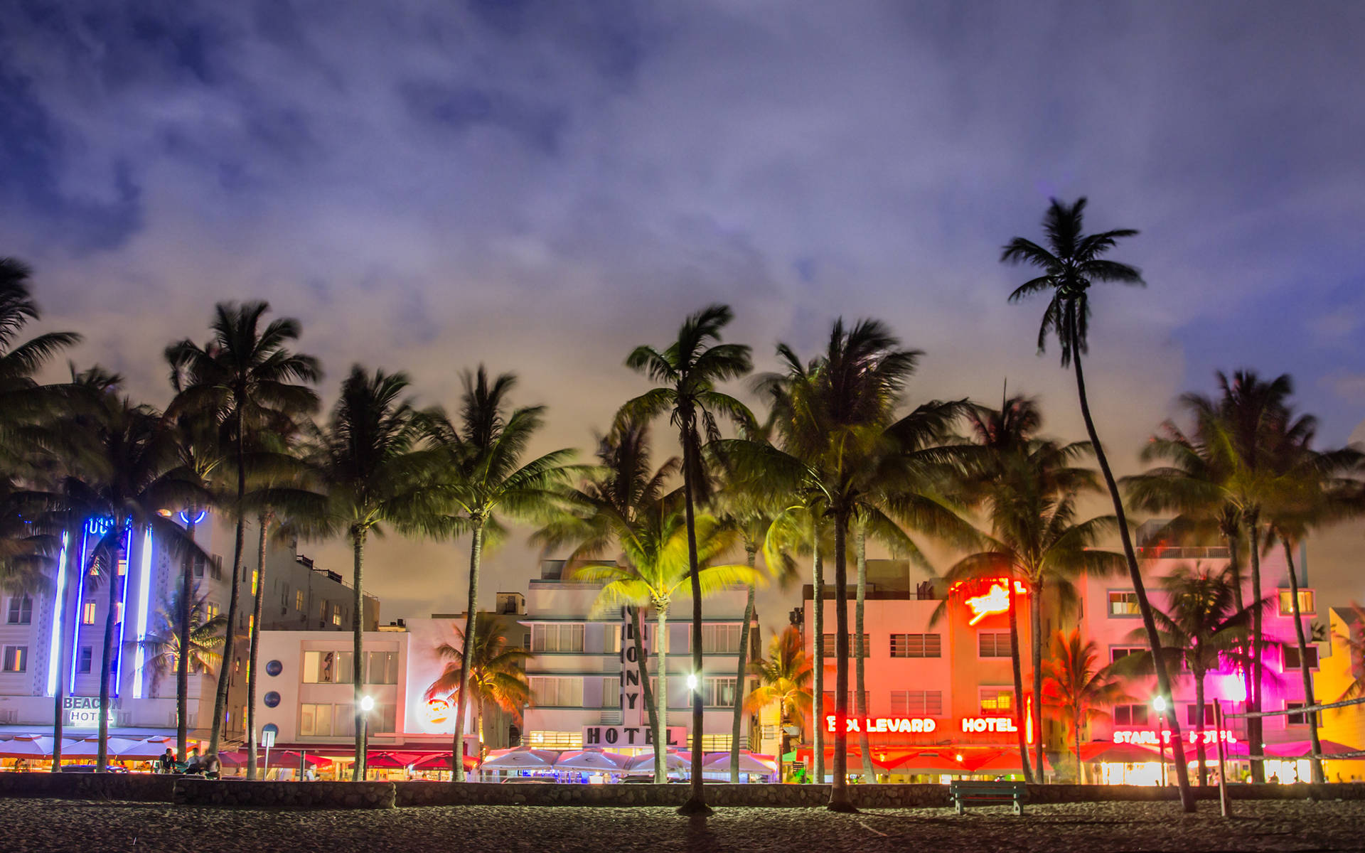 Miami 桌布 壁紙 — 在邁阿密海灘的暮色天空下，搖曳的棕櫚樹後方，充滿活力的霓虹燈裝飾藝術酒店閃閃發光。