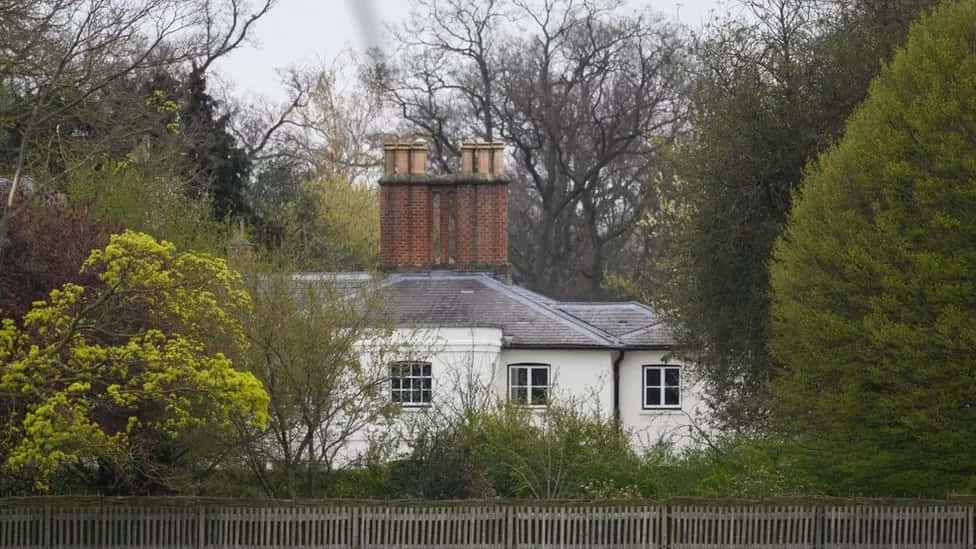 Frogmore Cottage 桌布 壁紙 — 在陰天，一間帶磚砌煙囪的白色小屋從茂密的綠樹和木柵欄中探出頭來。