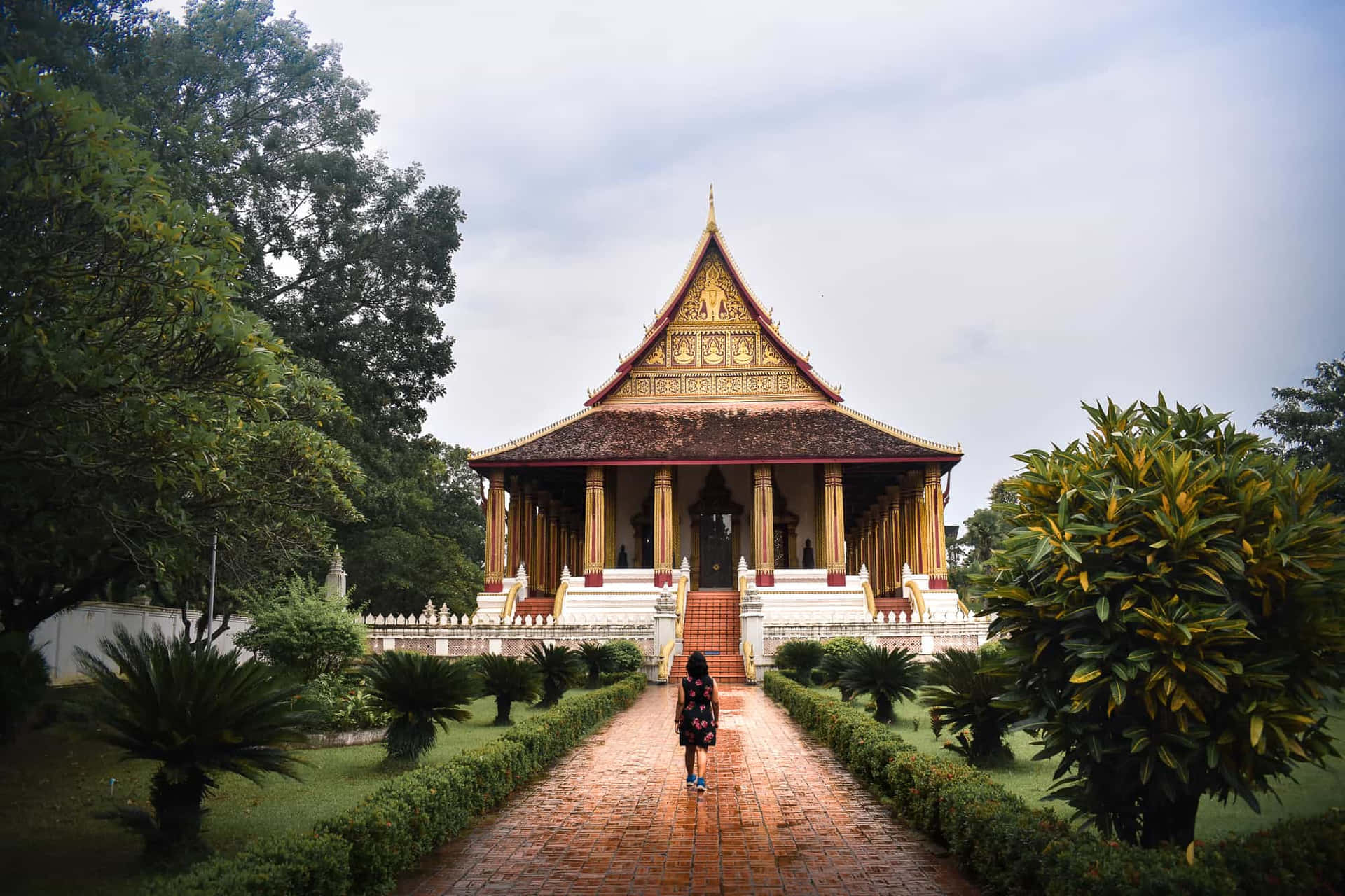 Laos 桌布 壁紙 — 在陰天之下，一個孤獨的身影沿著紅磚小徑走向一座被茂密綠植環繞的金色傳統寺廟。