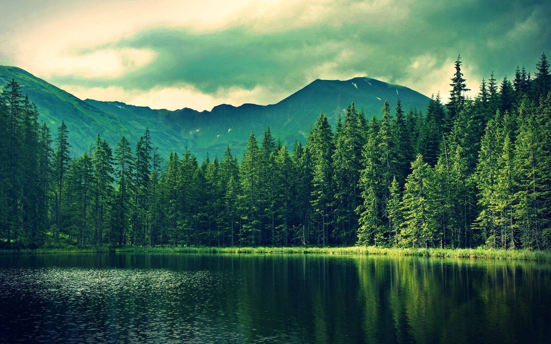 Lake 桌布 壁紙 — 在陰天之下，一個寧靜的山間湖泊倒映著高聳的常綠樹木和霧氣繚繞的山峰。