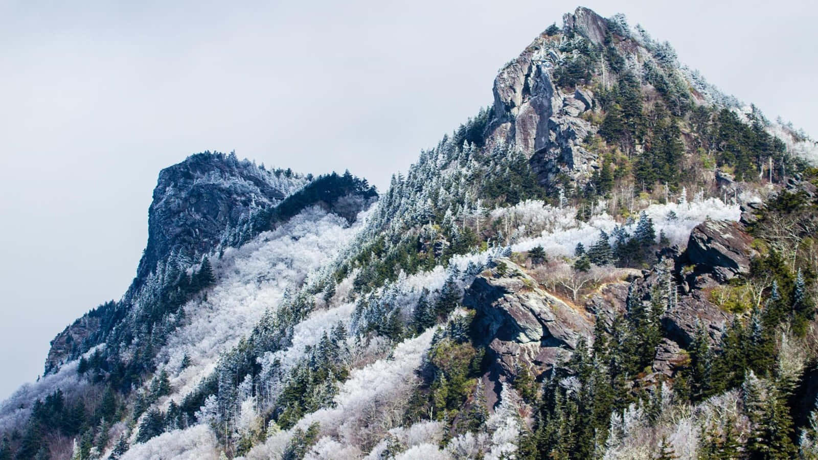Mountain View 桌布 壁紙 — 在陰天之下，一座覆蓋著薄雪的山峰，有結霜的樹木和裸露的岩石。