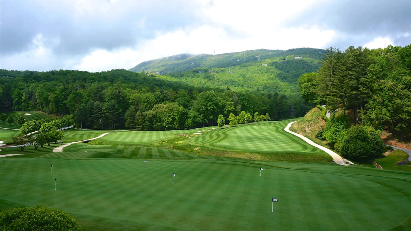 1366x768 Golf Course 桌布 壁紙 — 在陰天之下，一條條帶狀球道蜿蜒穿過茂密森林的翠綠高爾夫球場。