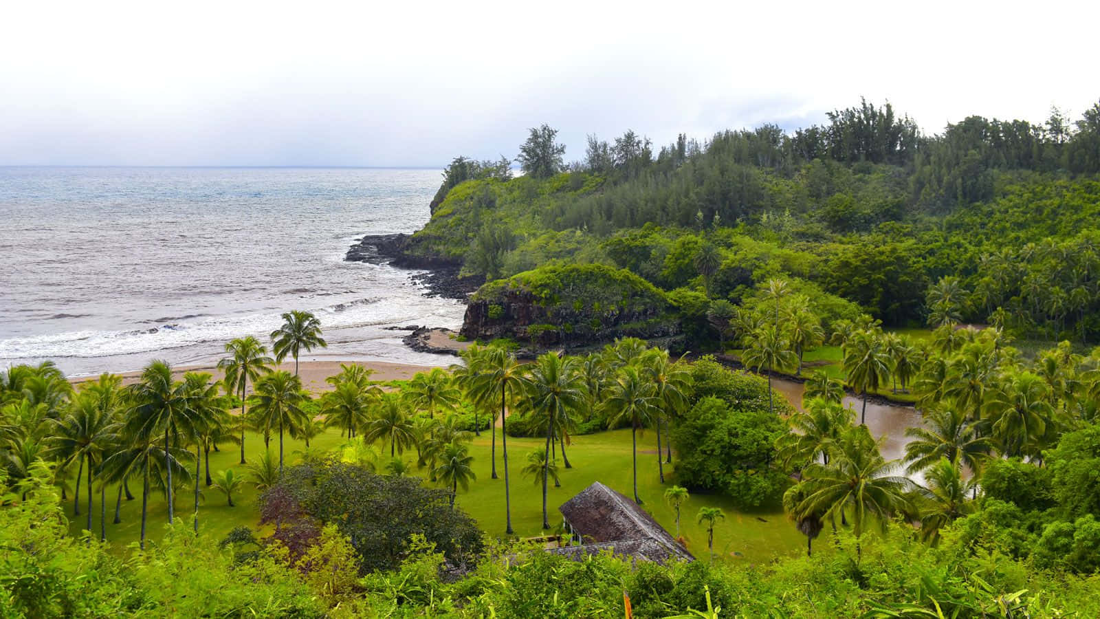 Hawaiian Island 桌布 壁紙 — 在陰天之下，一條茂密的熱帶海岸線，沙灘上排列著棕櫚樹，旁邊是岩石懸崖和茂密的綠色森林。