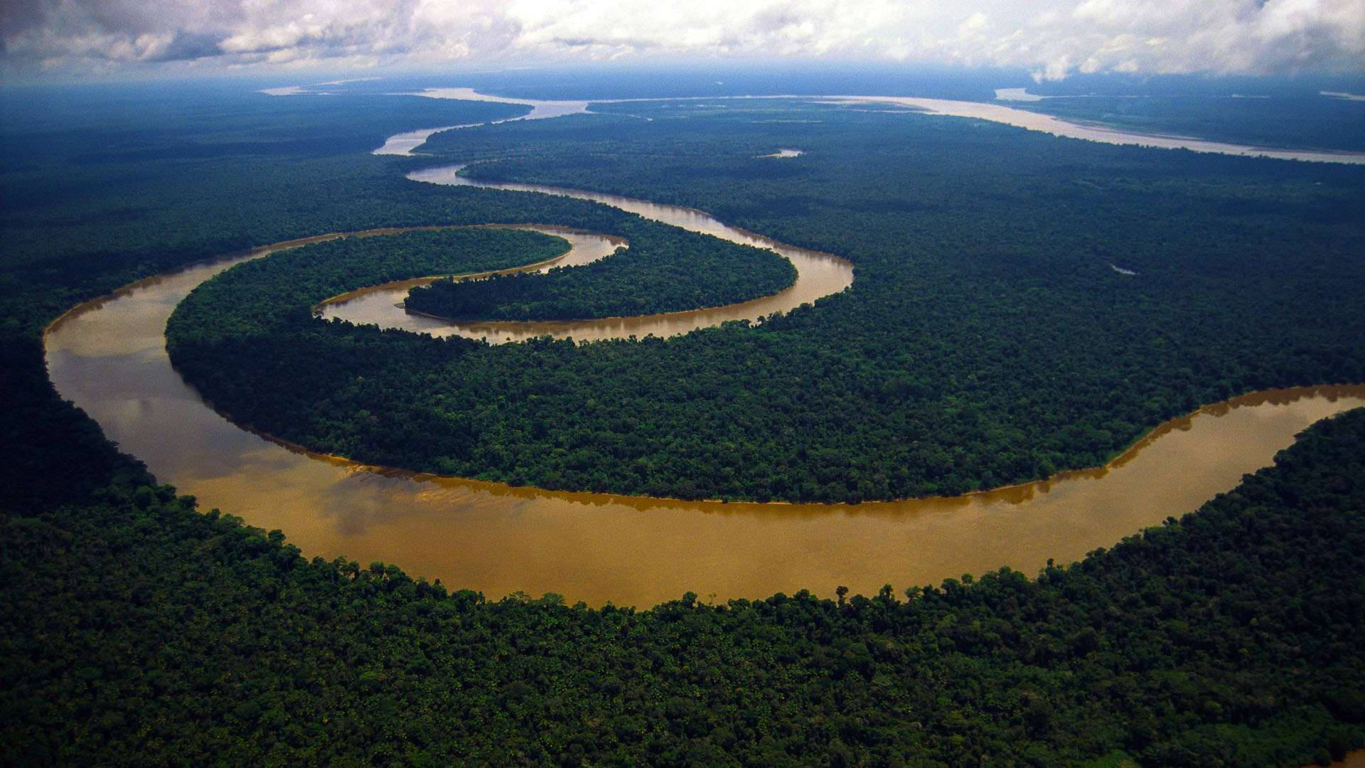 Amazonas 桌布 壁紙 — 在陰天之下，一條蜿蜒的泥濘河流穿過茂密的翡翠雨林的鳥瞰圖。