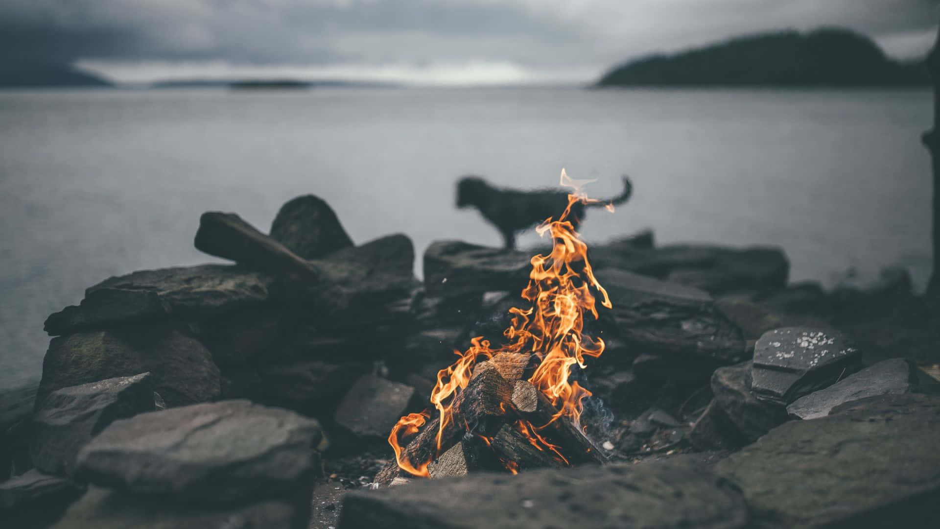 Fall Bonfire 桌布 壁紙 — 在陰天之下，霧氣瀰漫的湖邊暗色岩石間，營火噼啪作響，背景中有一隻狗的剪影。