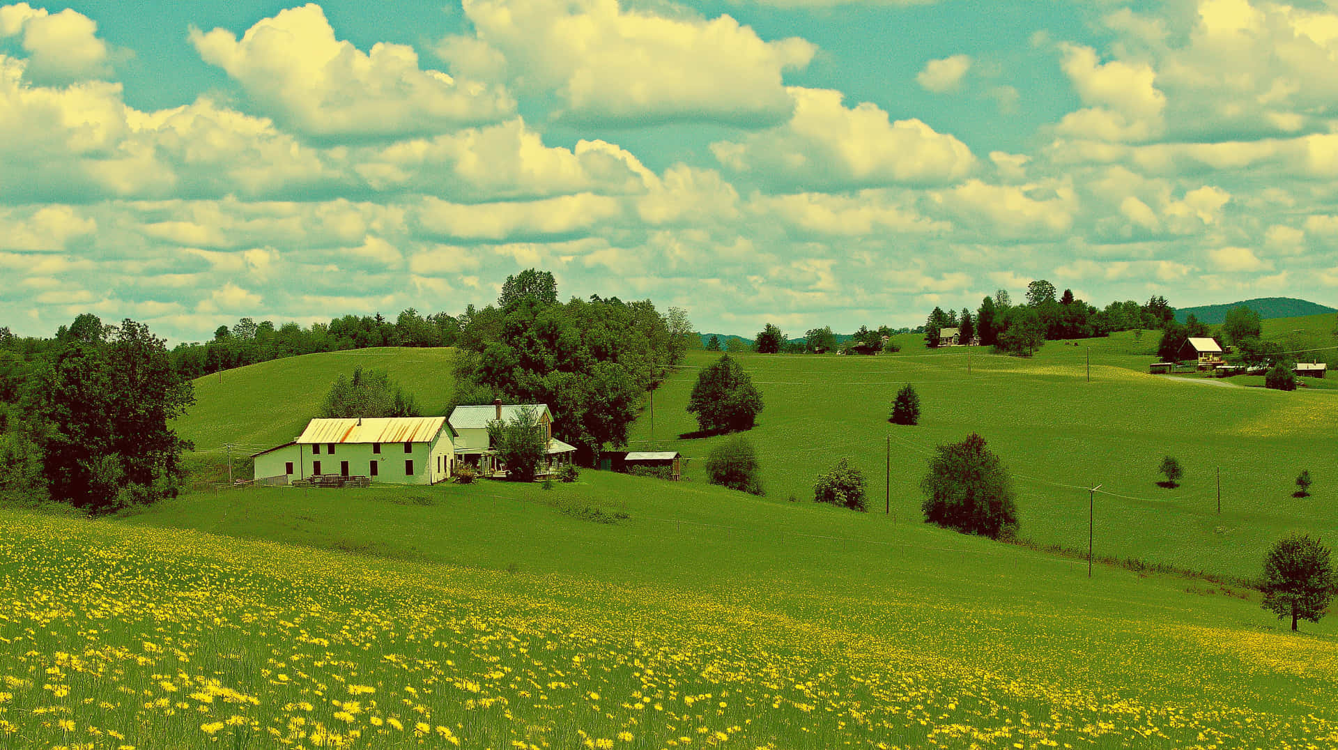 Rustic Countryside Farm with Dandelions under Expansive Sky 壁紙 — 在陰天天空下，一座農舍坐落在點綴著黃色野花的起伏綠色山丘中，呈現復古濾鏡效果。