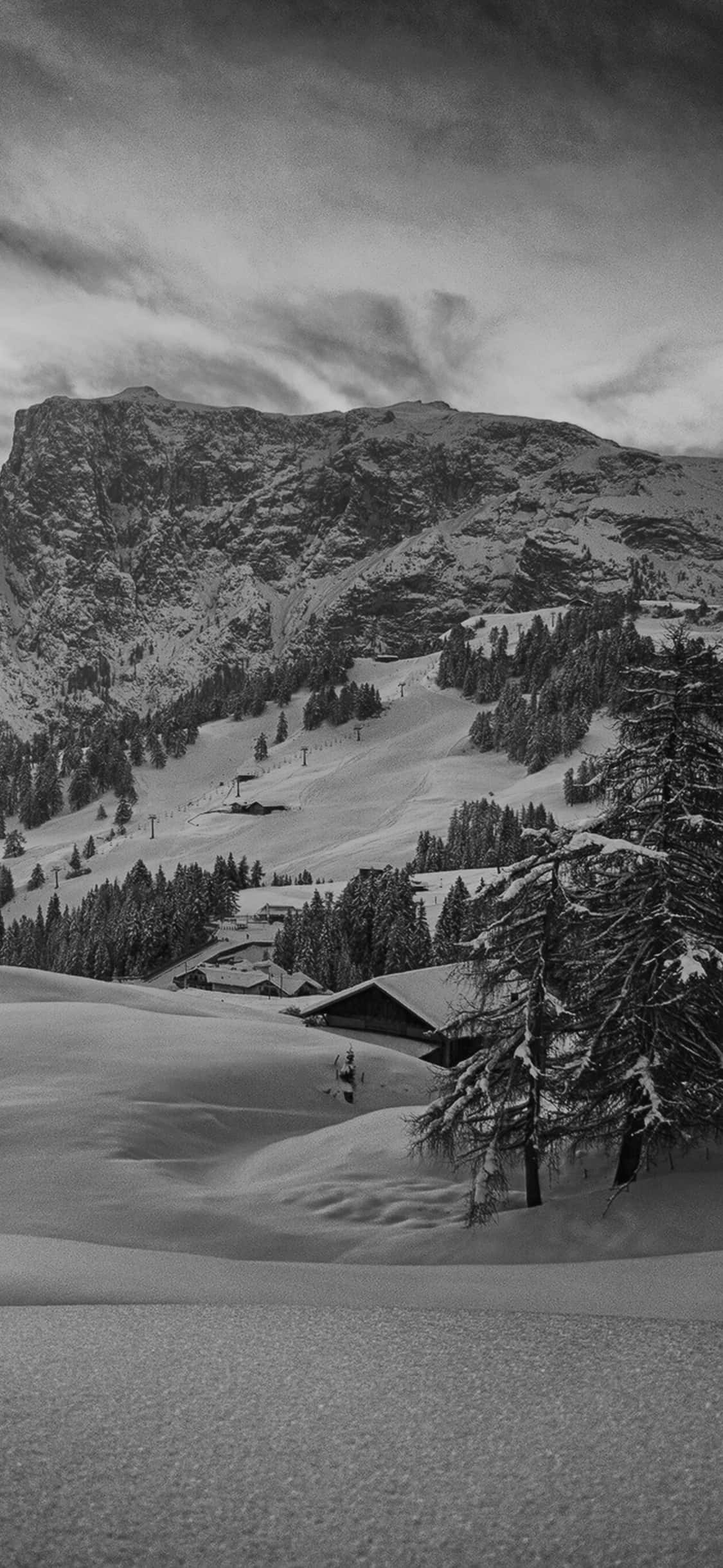 Ski Mountain 桌布 壁紙 — 在陰天天空下，松樹林間一個被雪覆蓋的山村，呈現鮮明的黑白全景。