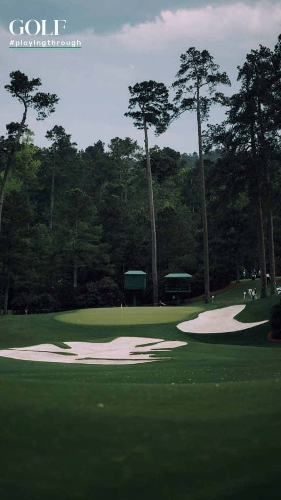 Augusta National iPhone 桌布 壁紙 — 在陰天背景下，高聳的松樹環繞著寧靜的高爾夫球場果嶺，前景有沙坑。