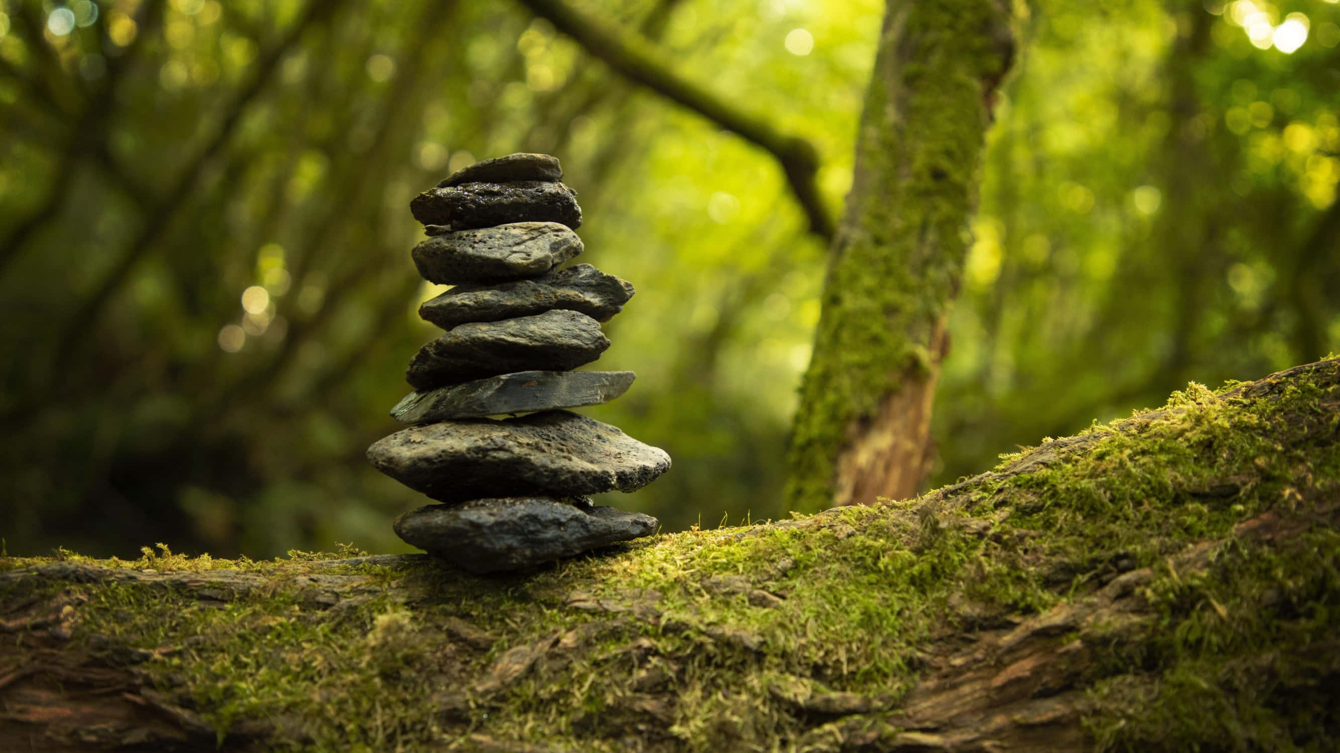 Stone 桌布 壁紙 — 在陽光斑駁的森林中，柔和的綠色散景背景下，一堆深色石頭精巧地平衡在長滿苔蘚的木頭上。
