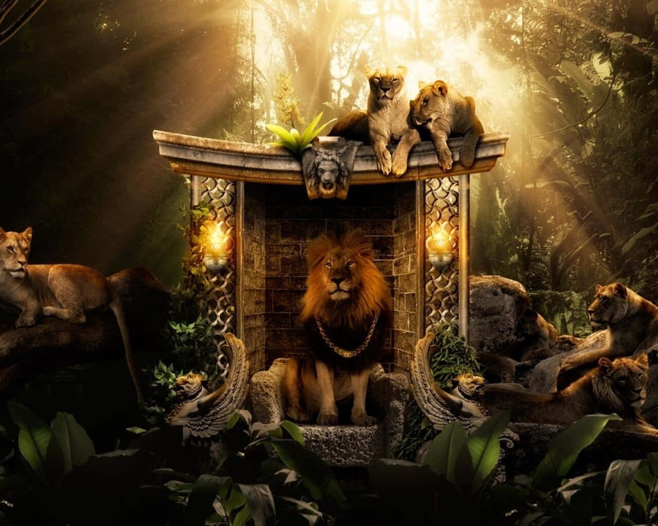 Lion Of Judah 桌布 壁紙 — 在陽光明媚的叢林中，雄偉的獅子王座，獅子們在石頭和樹葉上休息。