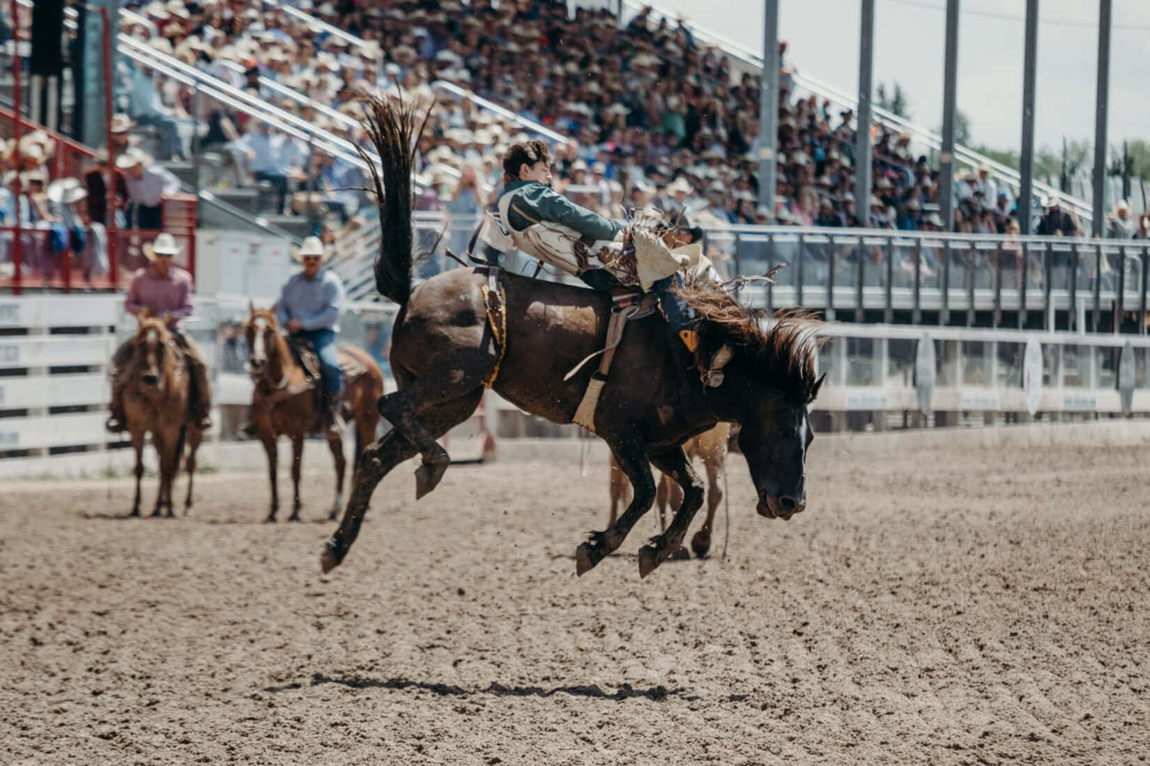 Rodeo 桌布 壁紙 — 在陽光明媚的牛仔競技場上，一名牛仔緊抓著一匹狂跳的野馬，觀眾在看台上觀看。