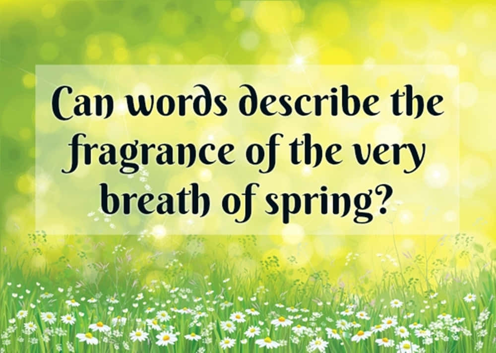 Spring Quotes 桌布 壁紙 — 在陽光普照的綠色散景天空下，一片充滿活力的春天雛菊草地，帶有詢問春天香氣的文字疊加。