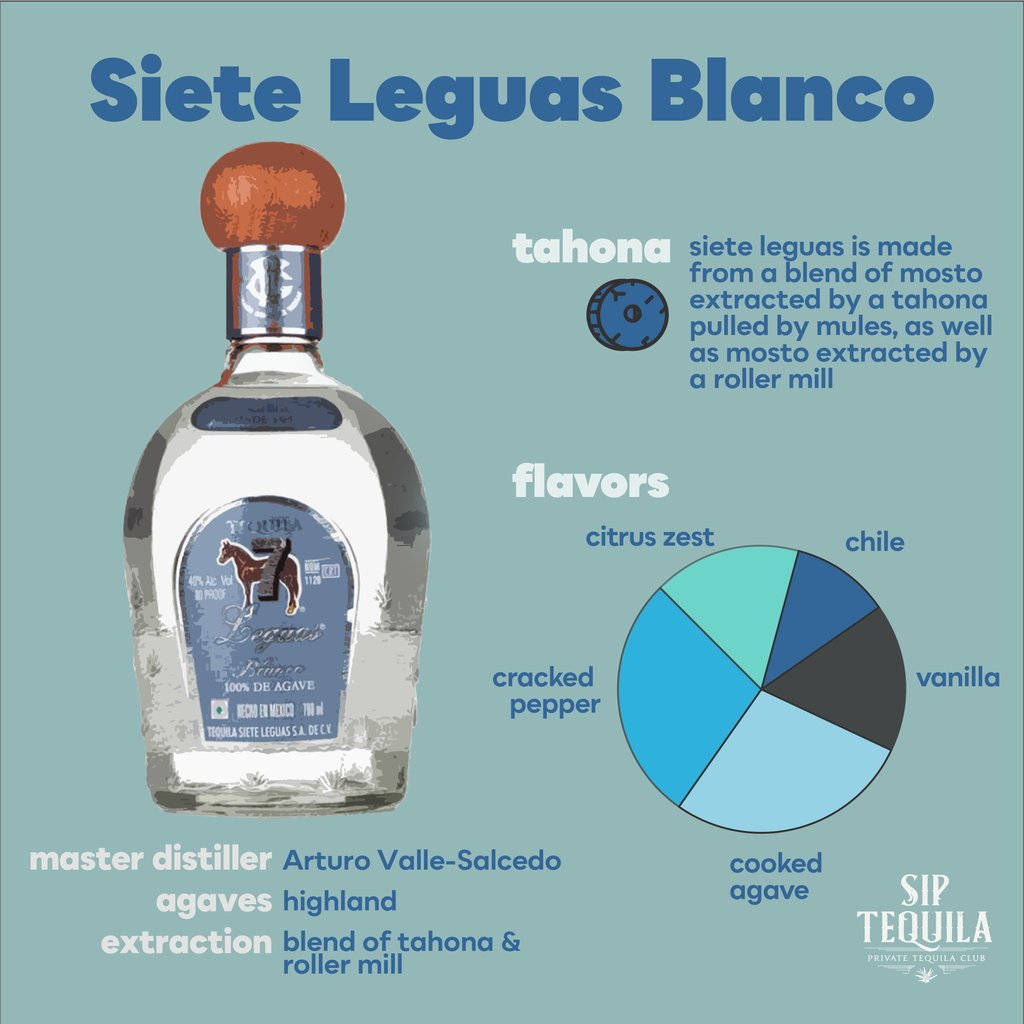 Best 桌布 壁紙 — 在青綠色背景上，一張風格化的Siete Leguas Blanco龍舌蘭酒瓶插圖，附有風味輪廓圖和生產細節。