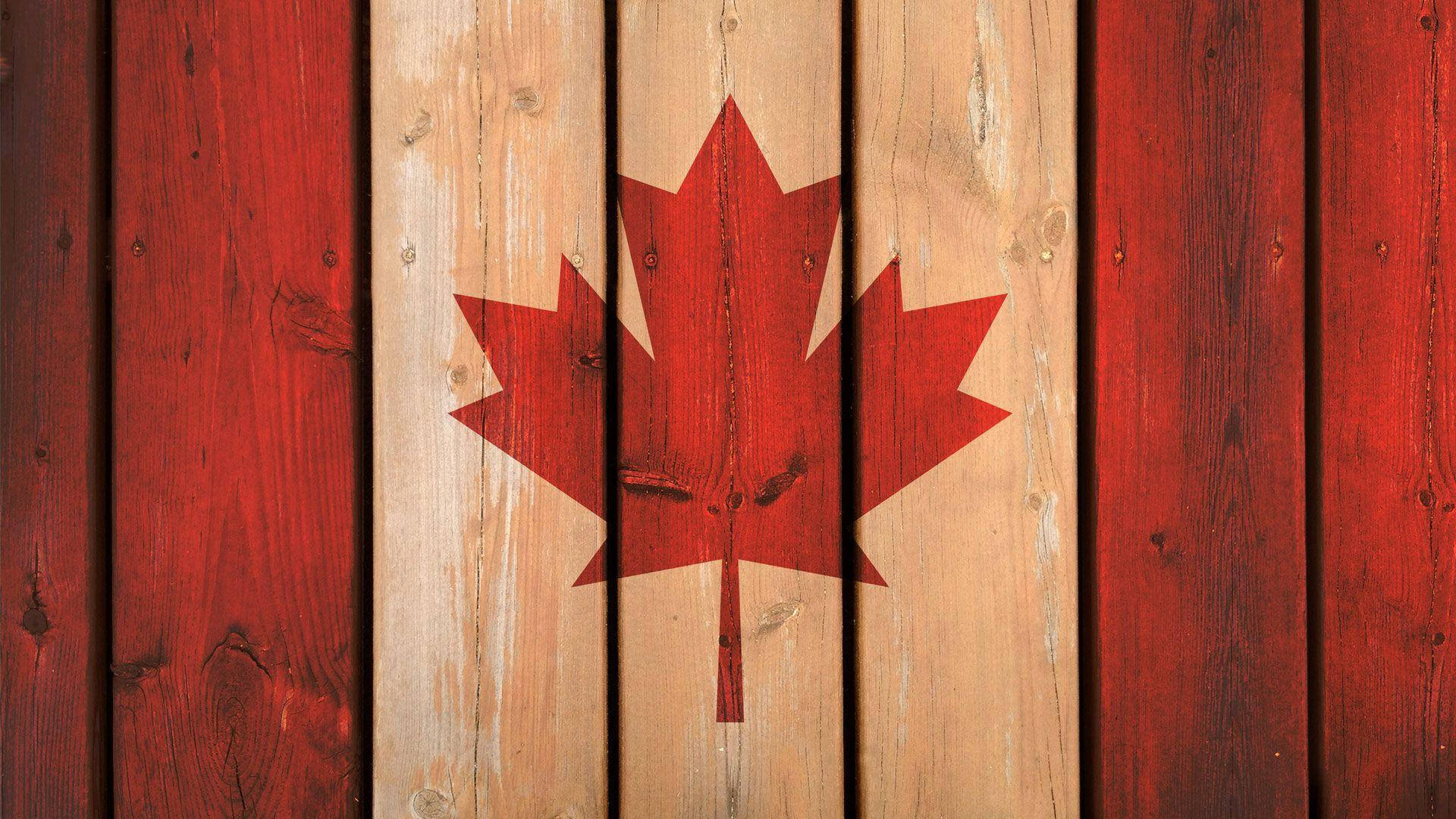 Canada Flag 桌布 壁紙 — 在風化的木板上繪製的紅色楓葉，帶有交替的紅色和天然木色調。