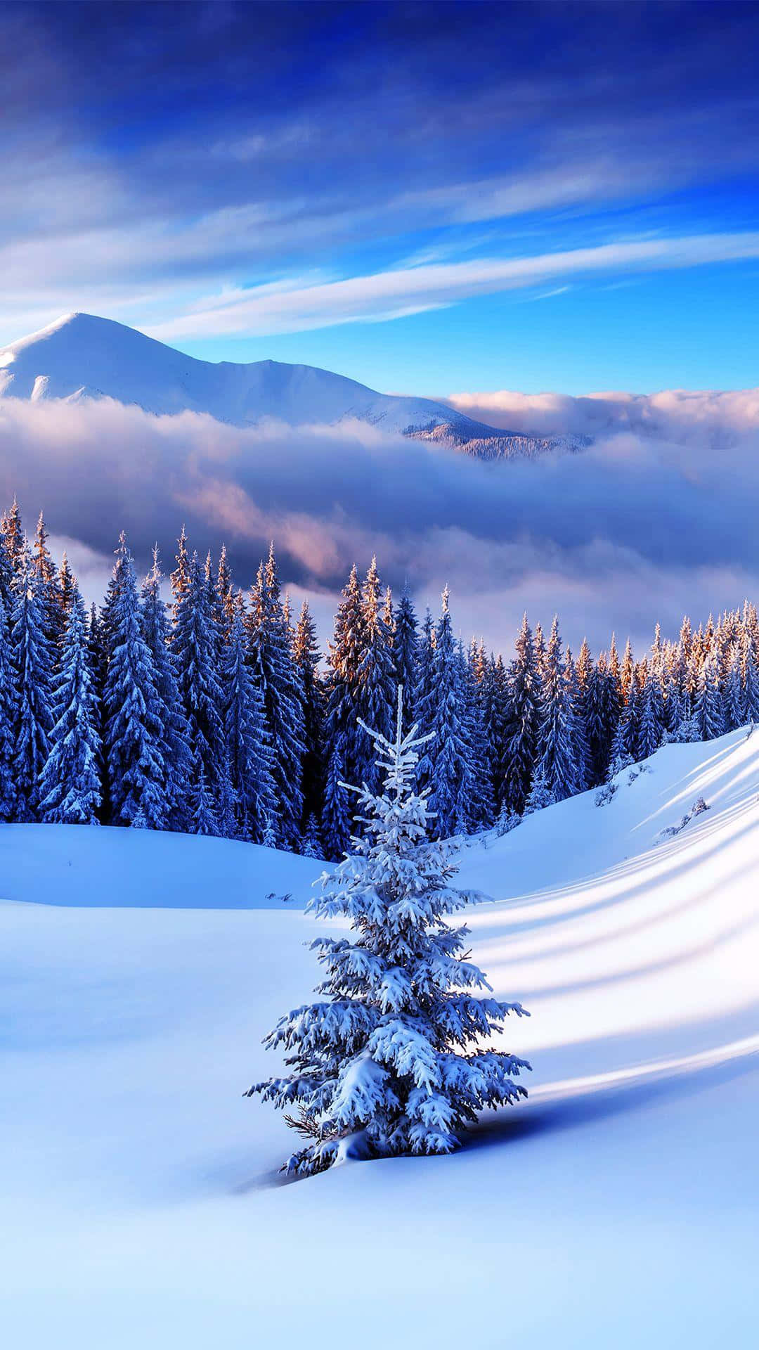 Snow iPhone 桌布 壁紙 — 在鮮豔的藍天下，一棵孤獨的雪松矗立在前景，下方是雄偉的雪山和雲層。