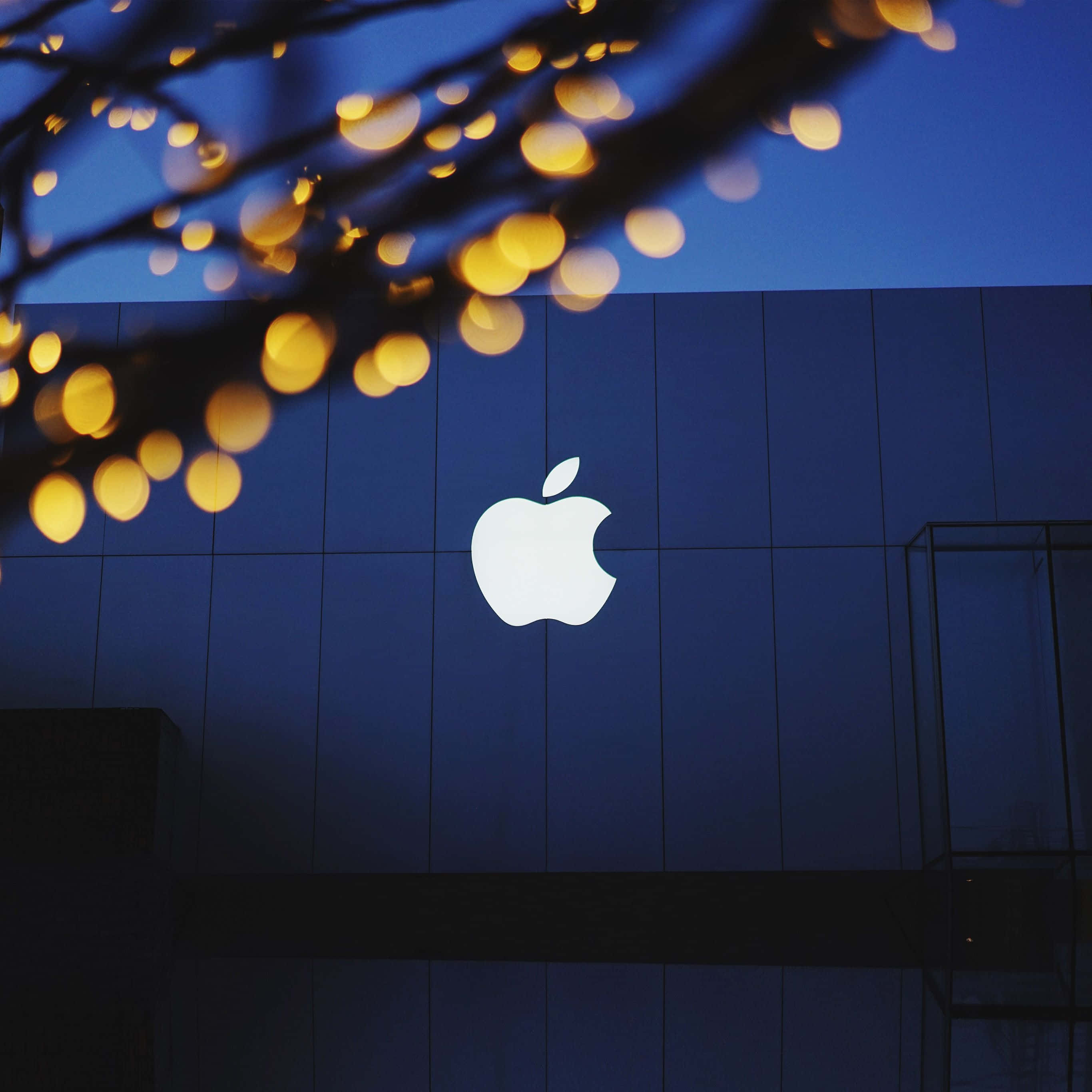 蘋果 桌布 壁紙 — 在黃昏時分，深藍色建築物外牆上發光的Apple標誌，周圍環繞著樹枝上模糊的金色散景燈光。