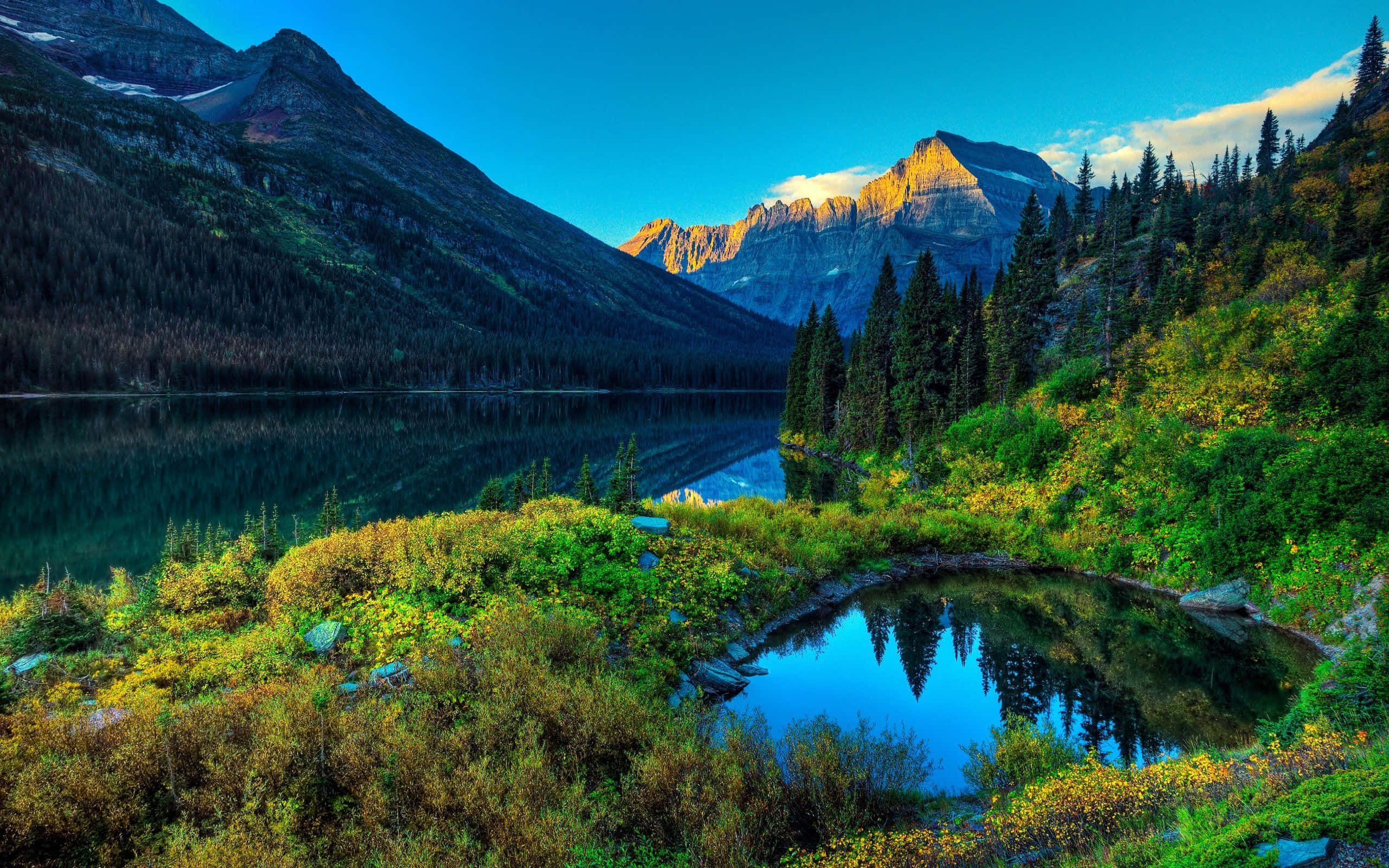 Mountain Scenery 桌布 壁紙 — 在黃金時段清澈的藍天下，寧靜的高山湖泊倒映著白雪覆蓋的山峰和常綠森林。
