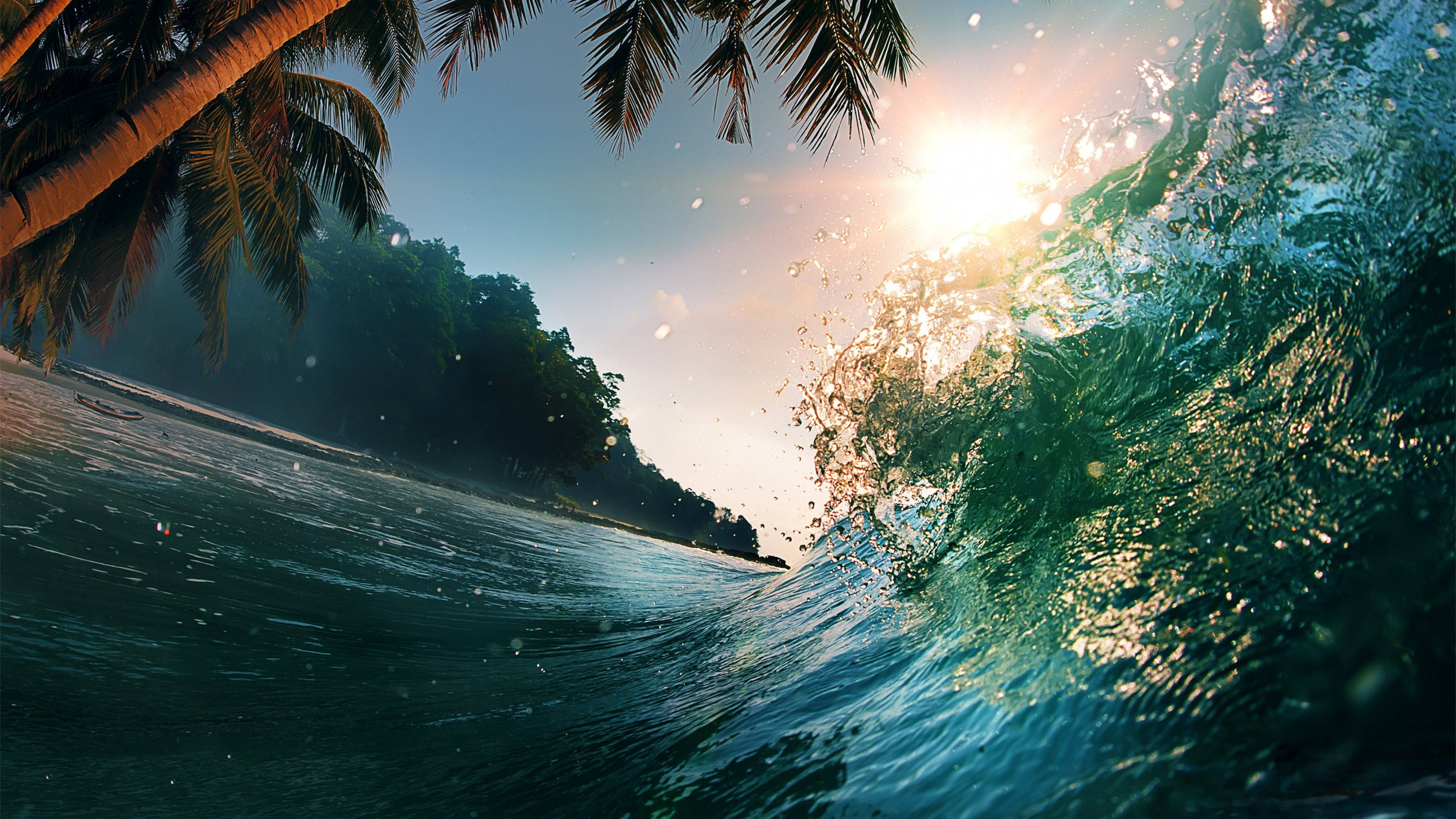 Wave 桌布 壁紙 — 在黃金時段的熱帶海灘上，陽光照射的海浪在棕櫚樹下戲劇性地捲起。