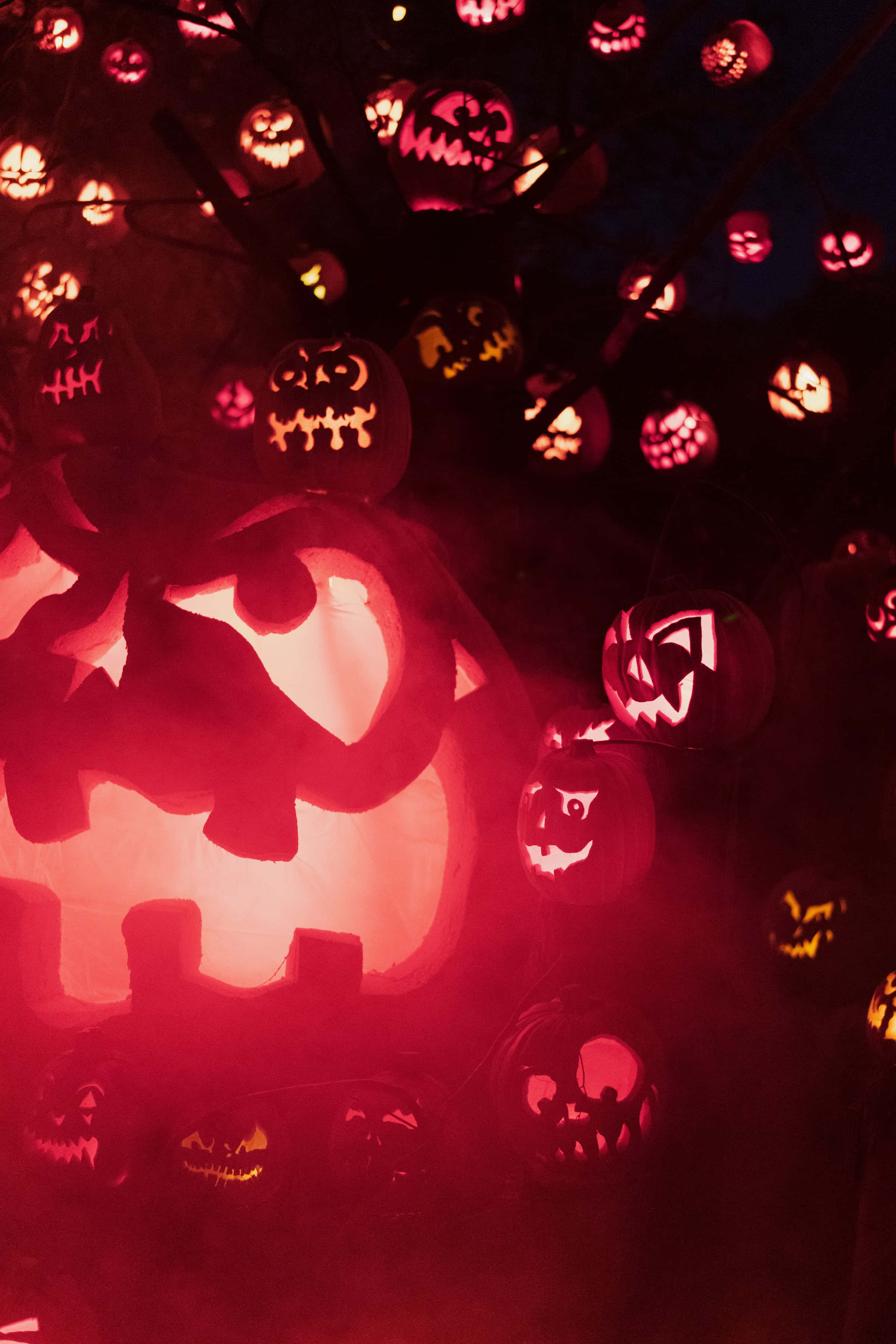 jack o'lantern 桌布 壁紙 — 在黑暗天空下，樹枝上掛著發光的南瓜燈，帶有兇惡面孔的詭異展示。
